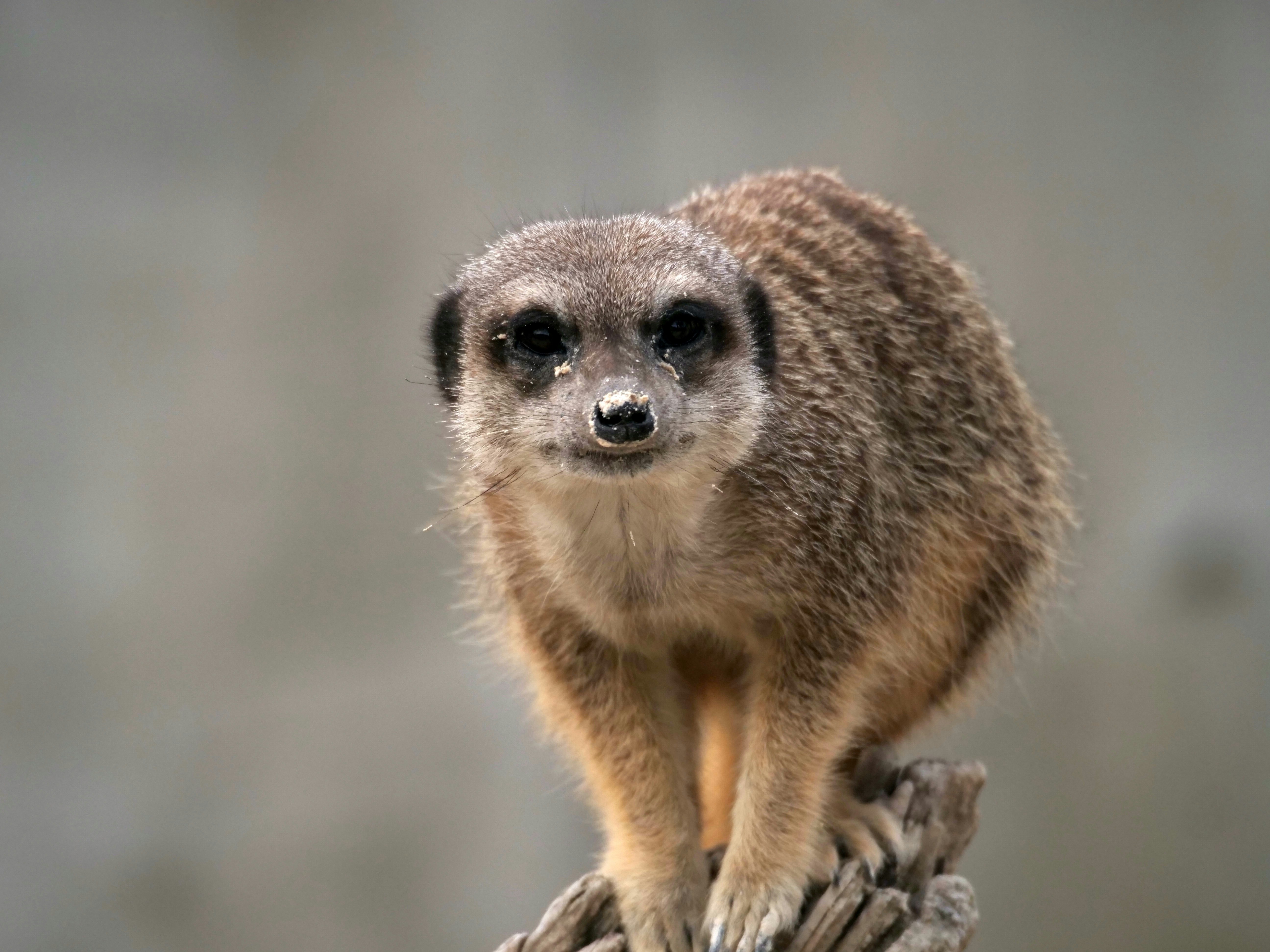 Photo by michaelbuechi