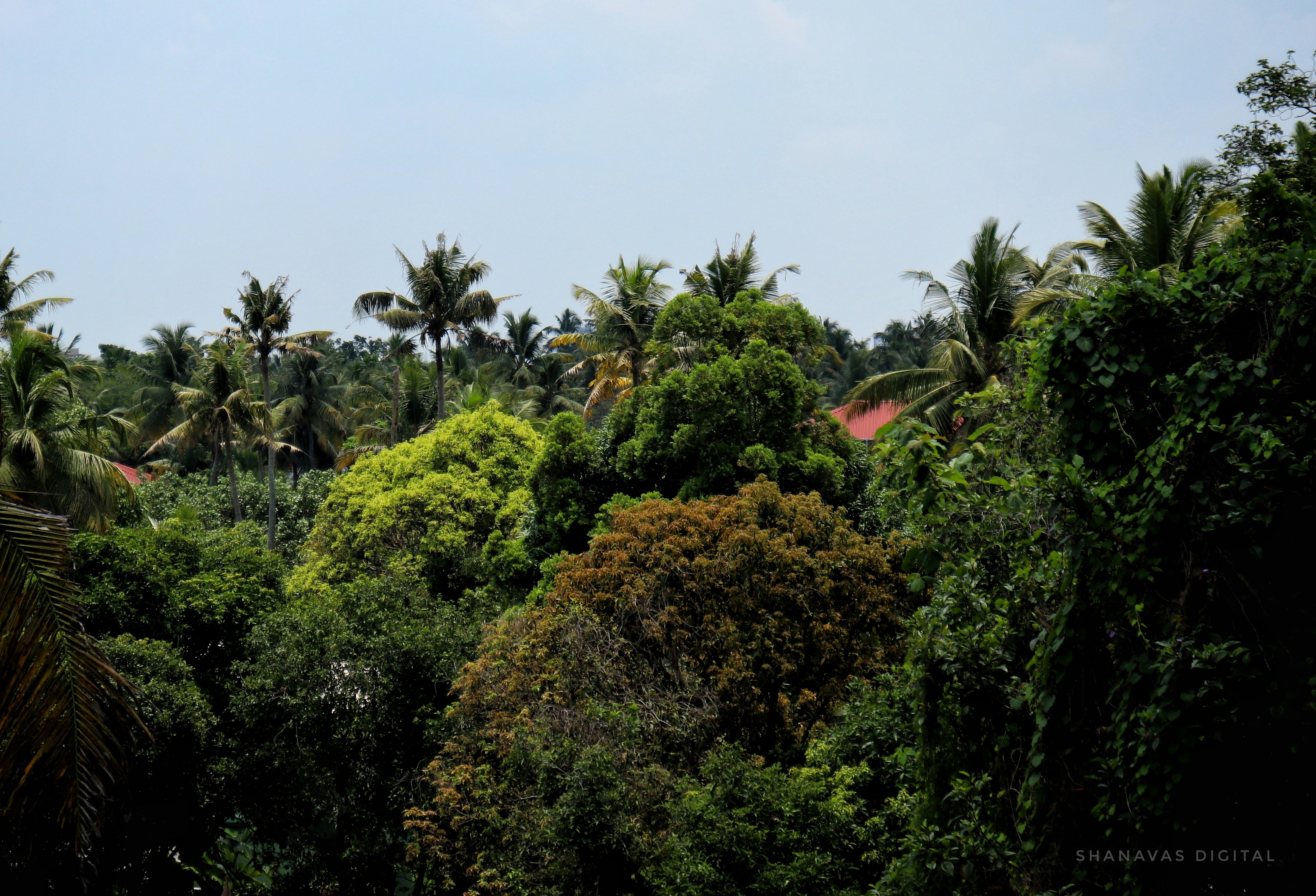 Photo by shanavas360