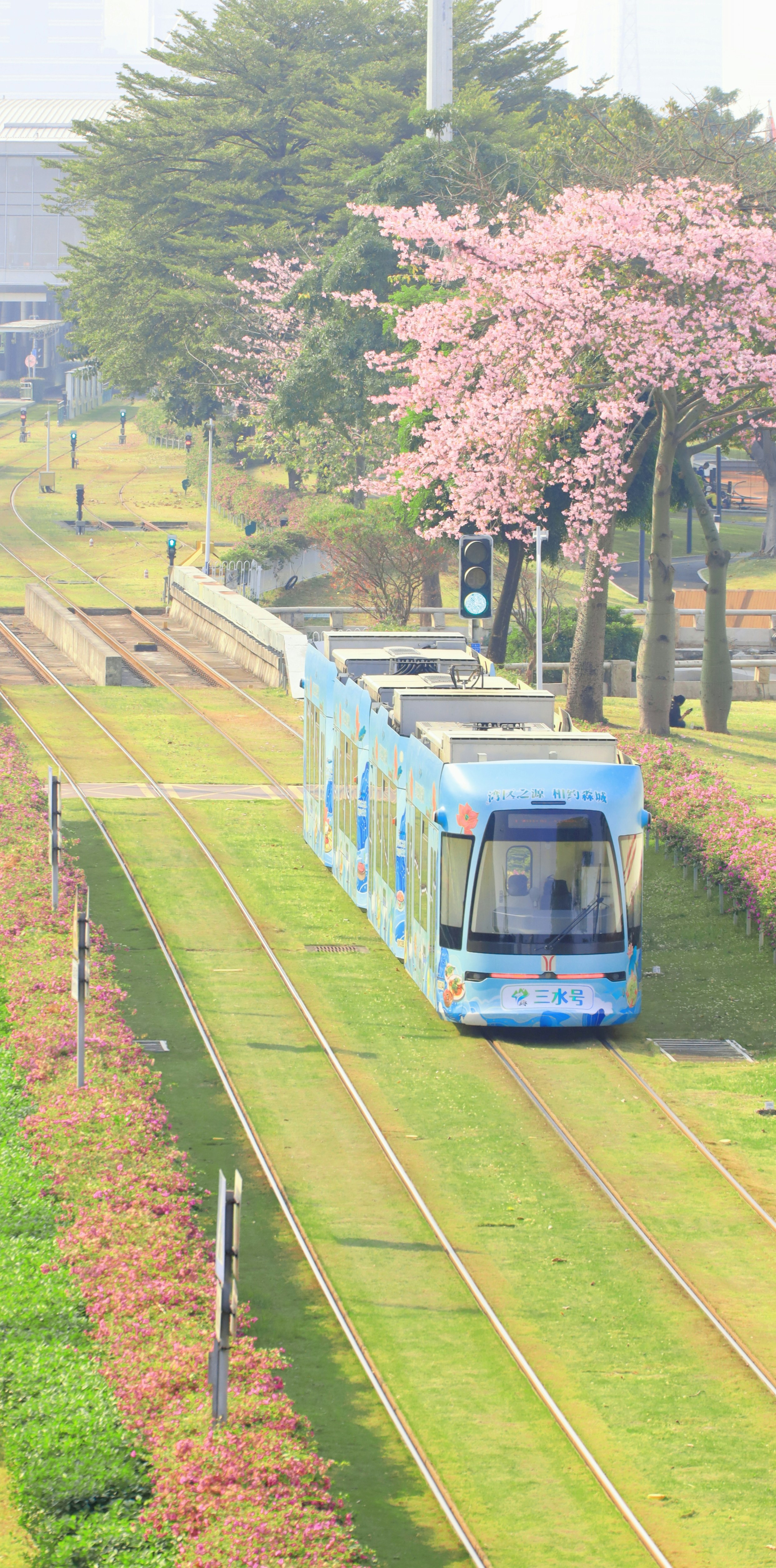 A train on the railway tracks