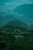 A lush, hilly landscape features expansive tea plantations with rows of bushes covering the slopes. A winding road meanders through the greenery, surrounded by dense trees. Small structures, possibly village houses, are nestled among the foliage. Mist hovers above the scene, giving a sense of tranquility and coolness.