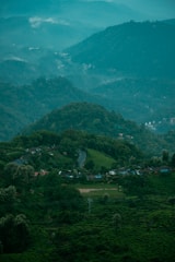 A lush, hilly landscape features expansive tea plantations with rows of bushes covering the slopes. A winding road meanders through the greenery, surrounded by dense trees. Small structures, possibly village houses, are nestled among the foliage. Mist hovers above the scene, giving a sense of tranquility and coolness.