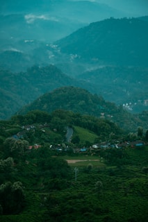 A lush, hilly landscape features expansive tea plantations with rows of bushes covering the slopes. A winding road meanders through the greenery, surrounded by dense trees. Small structures, possibly village houses, are nestled among the foliage. Mist hovers above the scene, giving a sense of tranquility and coolness.