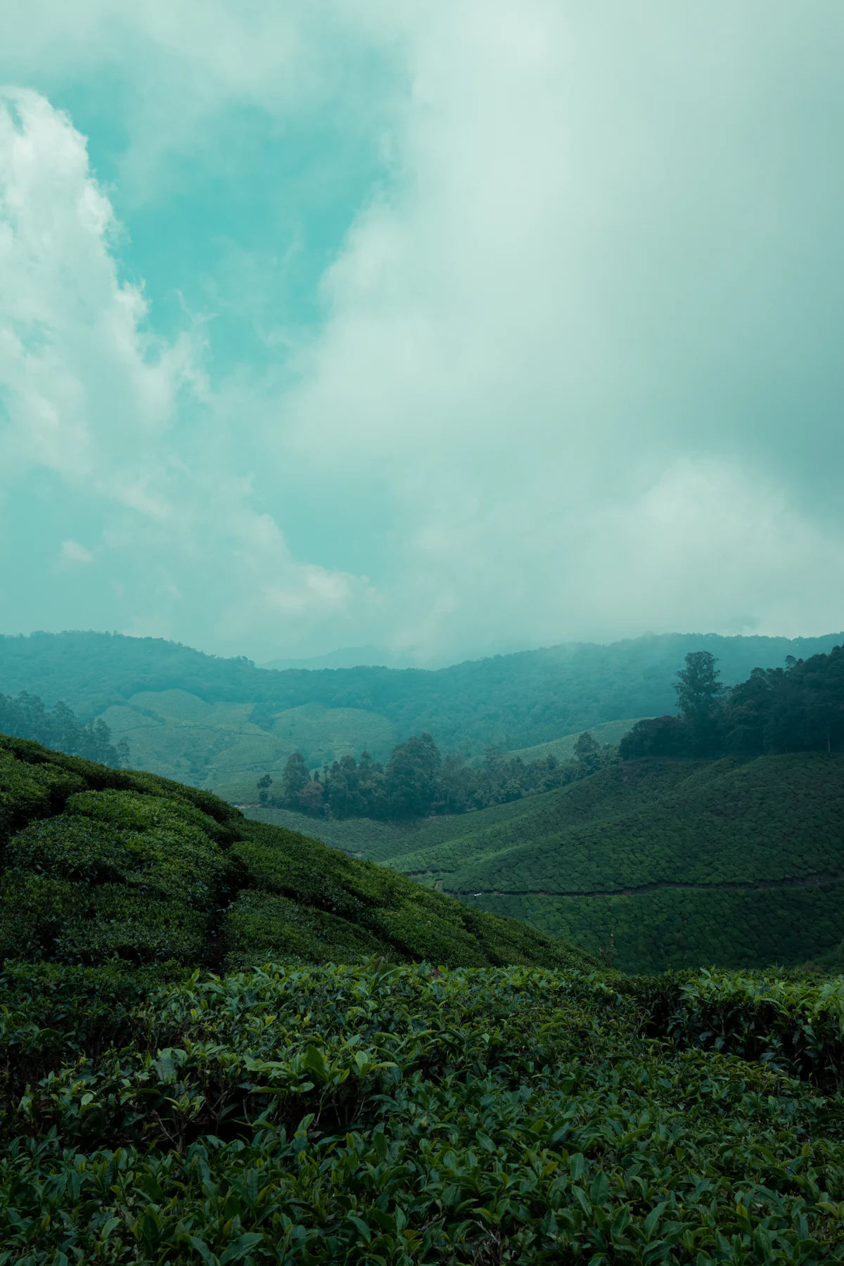 Sakleshpur