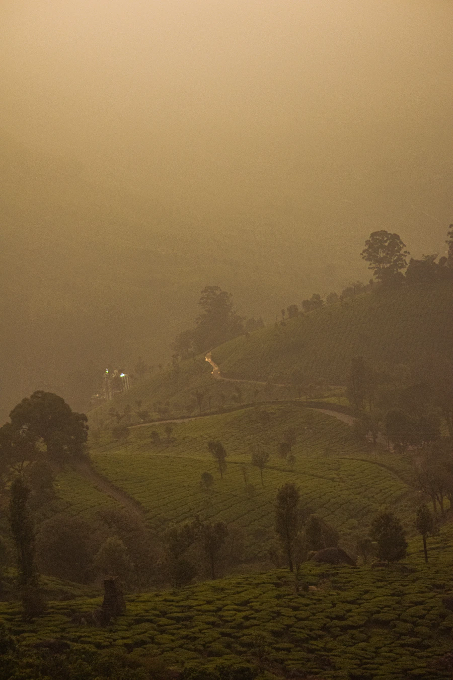 Tea plantations in Munnar, part of the Kerala Backwaters & Hills package