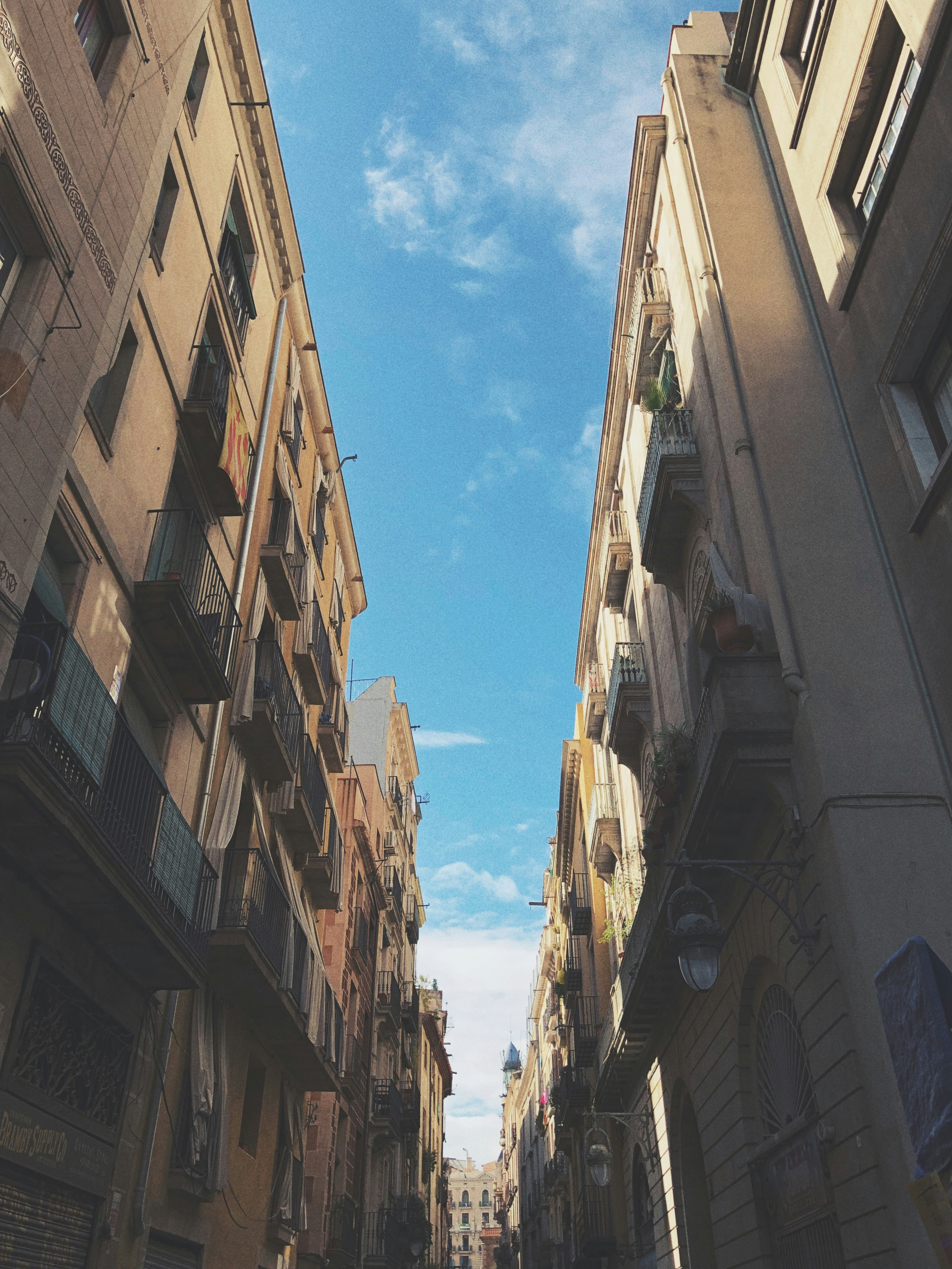 Photo by aperiosdesign01