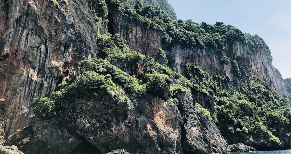 a rocky cliff with trees on it