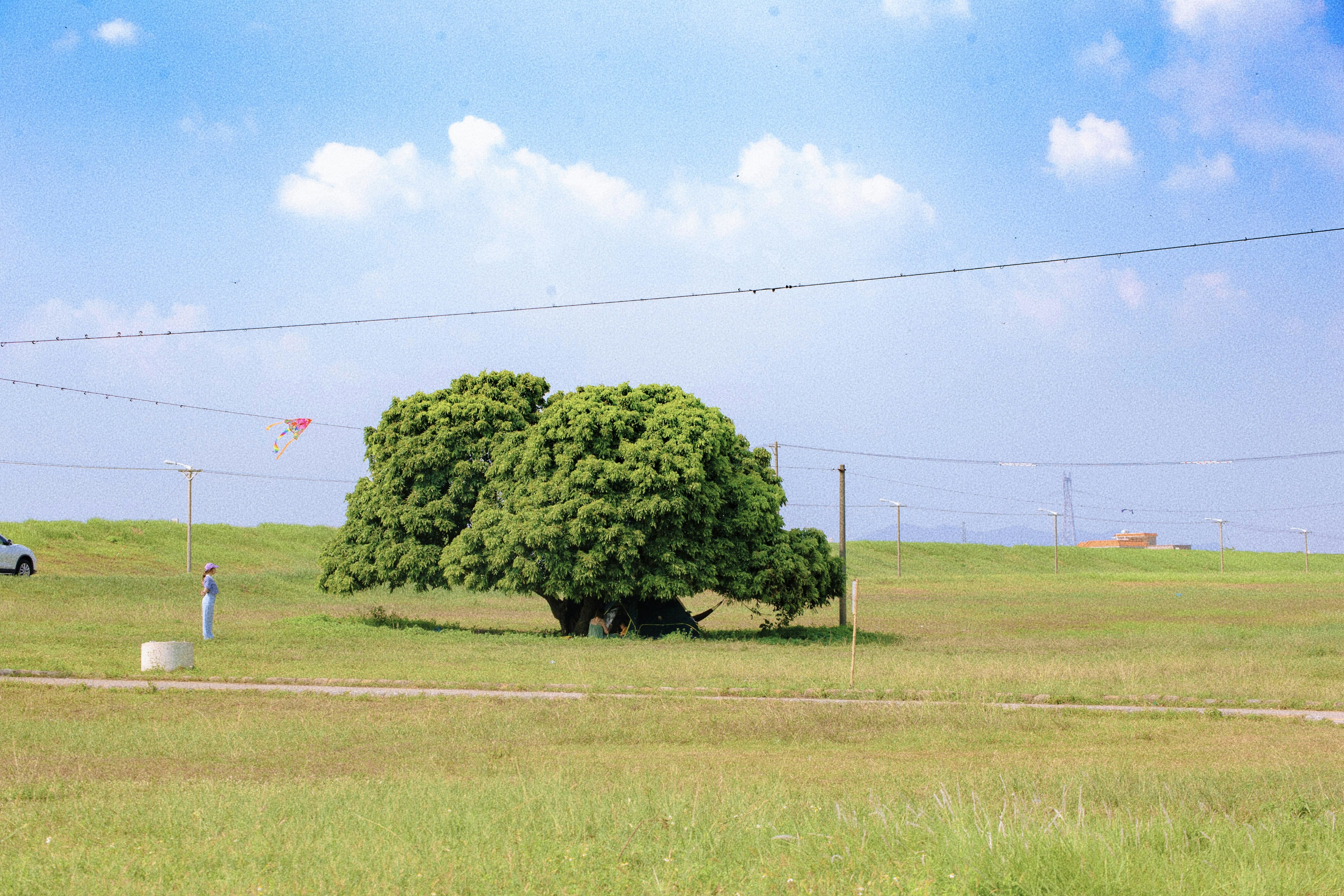 Eine Person, die neben einem Baum steht