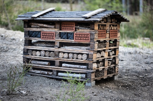 a small wooden building