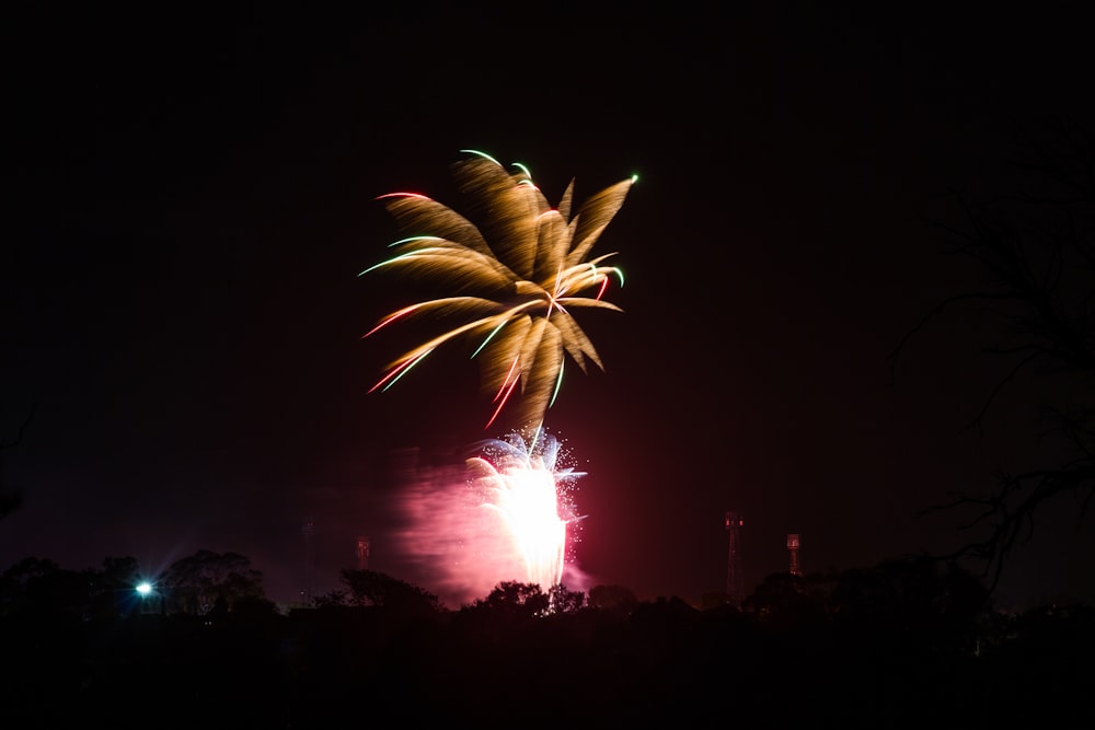 fireworks in the sky