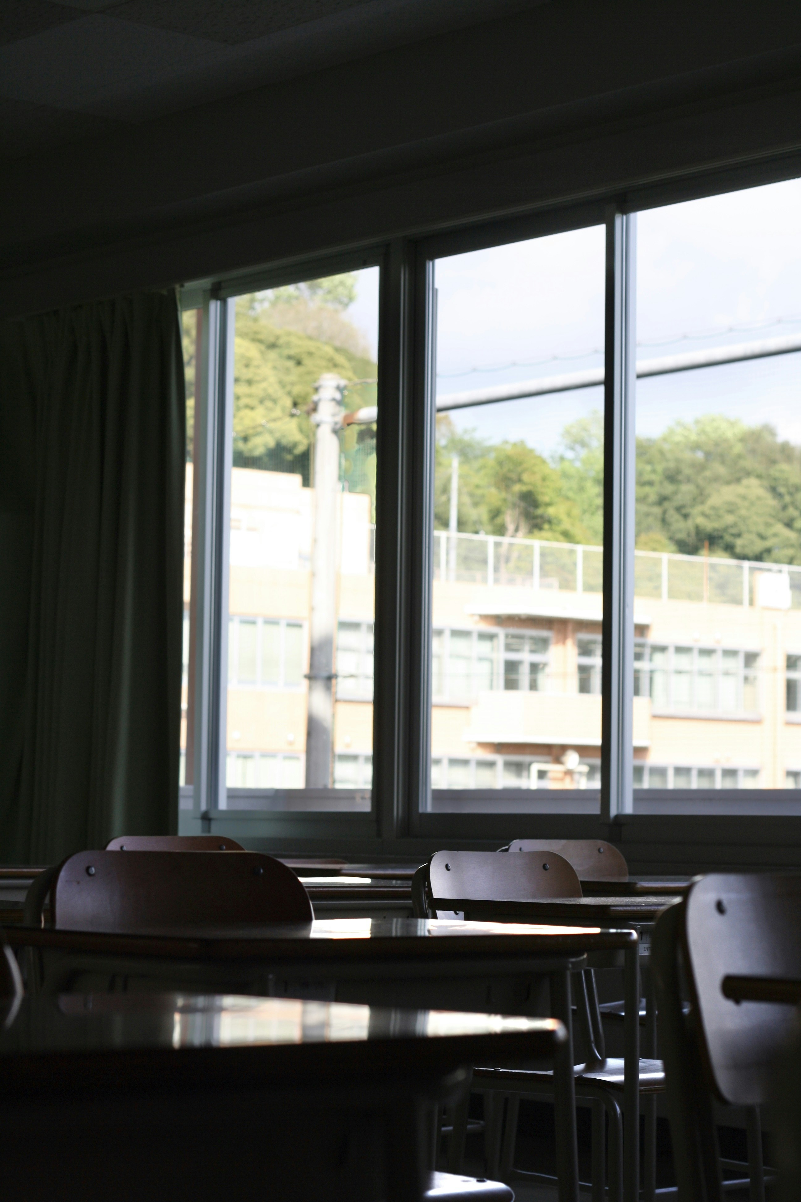 Bellingham Public Schools Lunch Menu