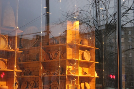 A wooden shelving unit contains a variety of handcrafted wooden items, possibly kitchenware or decorative pieces, displayed inside a store. The scene reflects an outdoor cityscape with trees and buildings visible through the glass, creating a blend of interior and exterior environments.