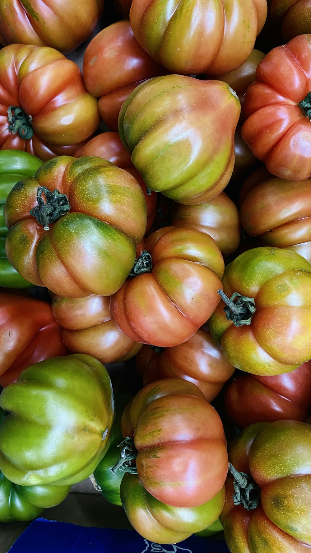 a pile of colorful tomatoes