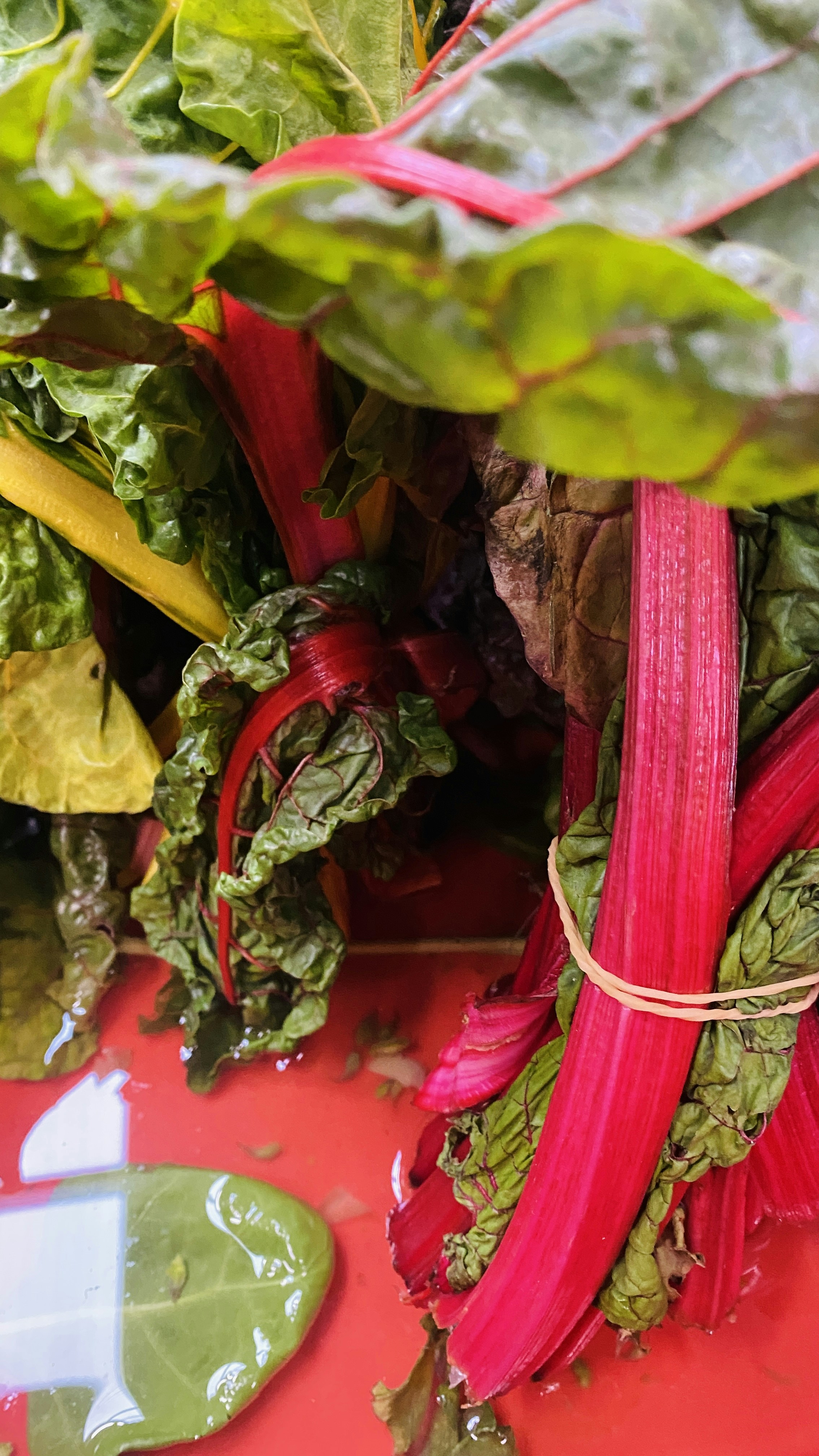 Photo by filipp_roman_photography