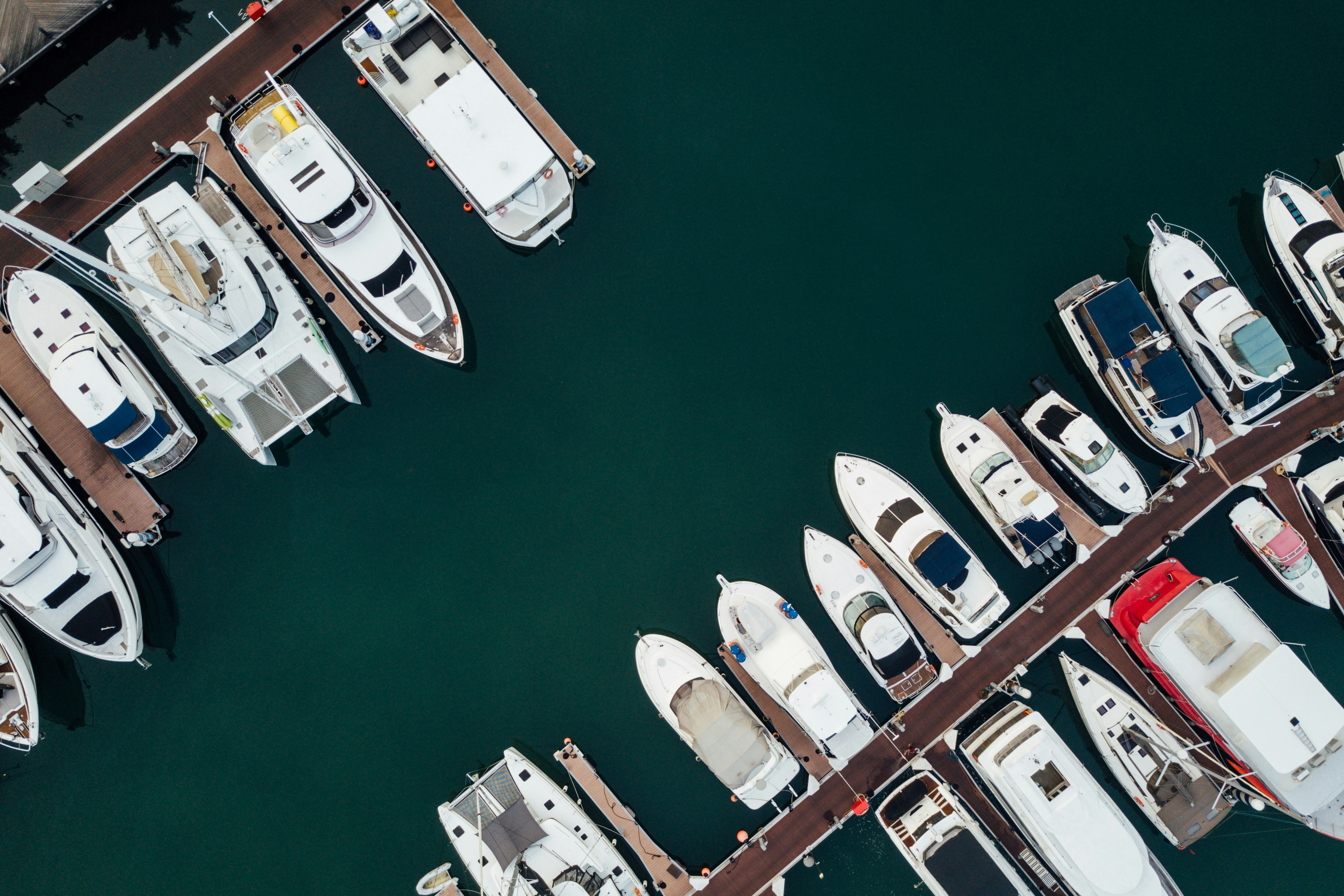 Photo by chuttersnap