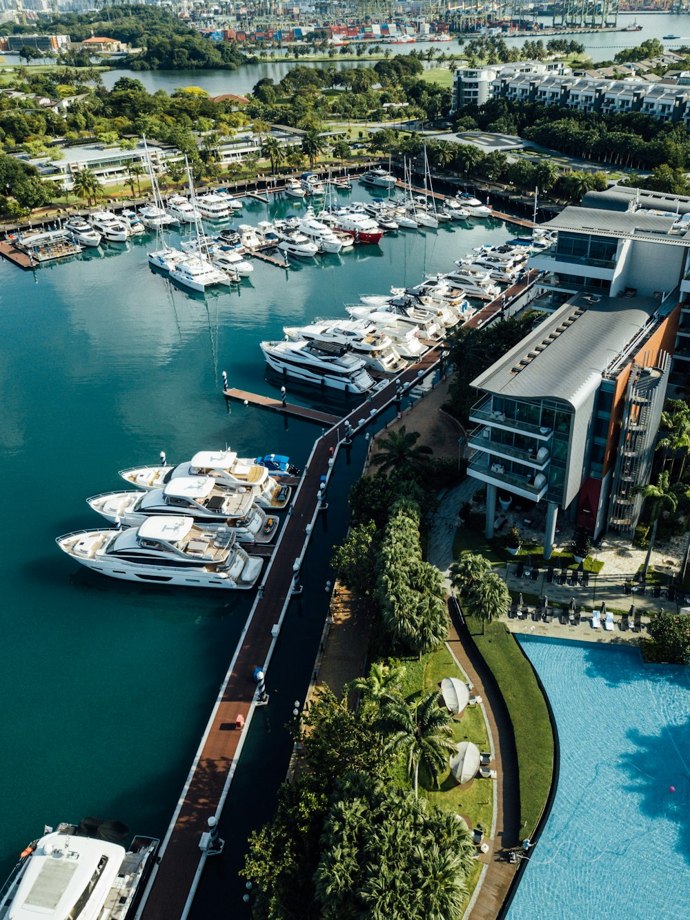 a group of boats in a harbor