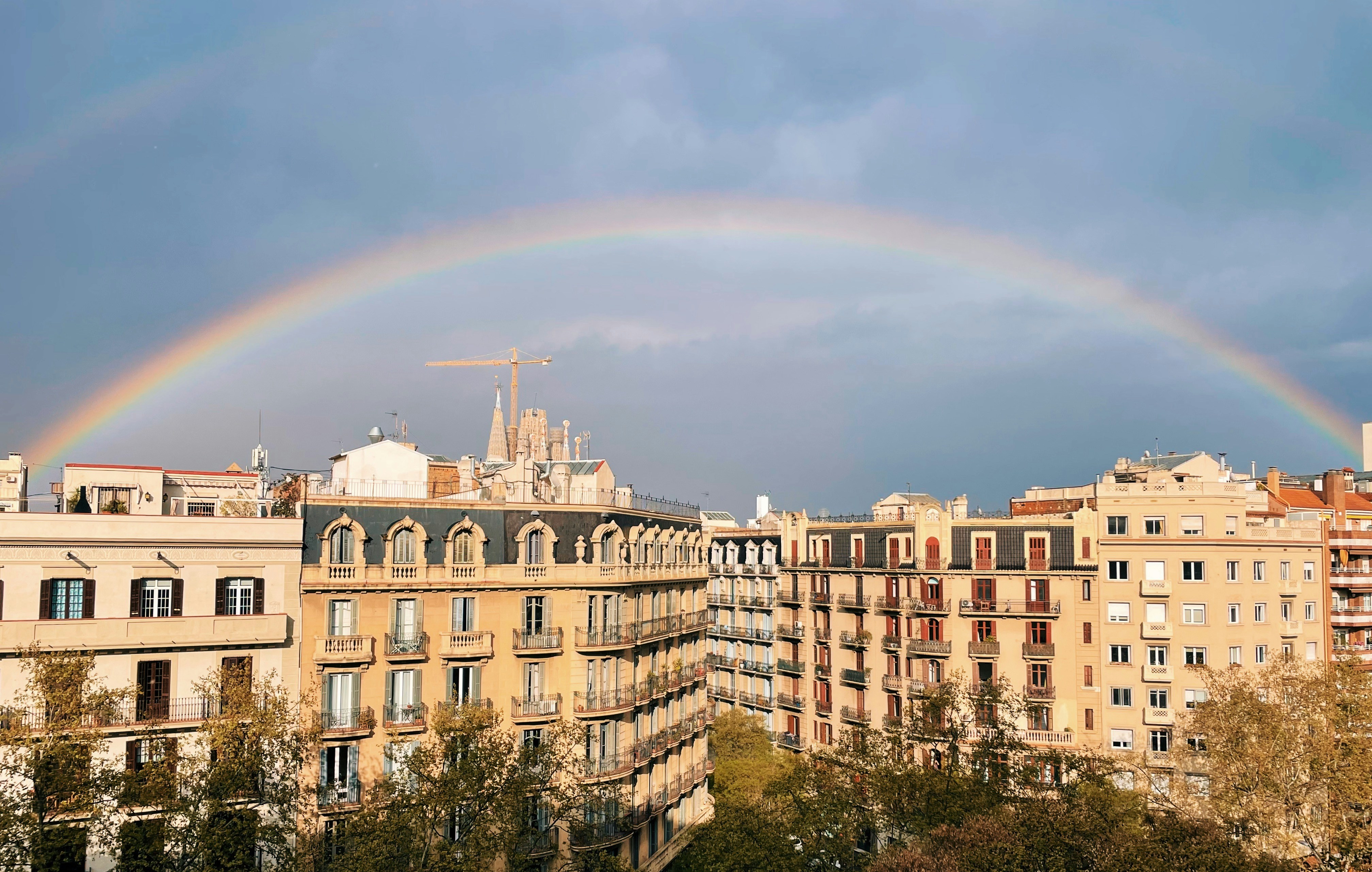 a rainbow over a city