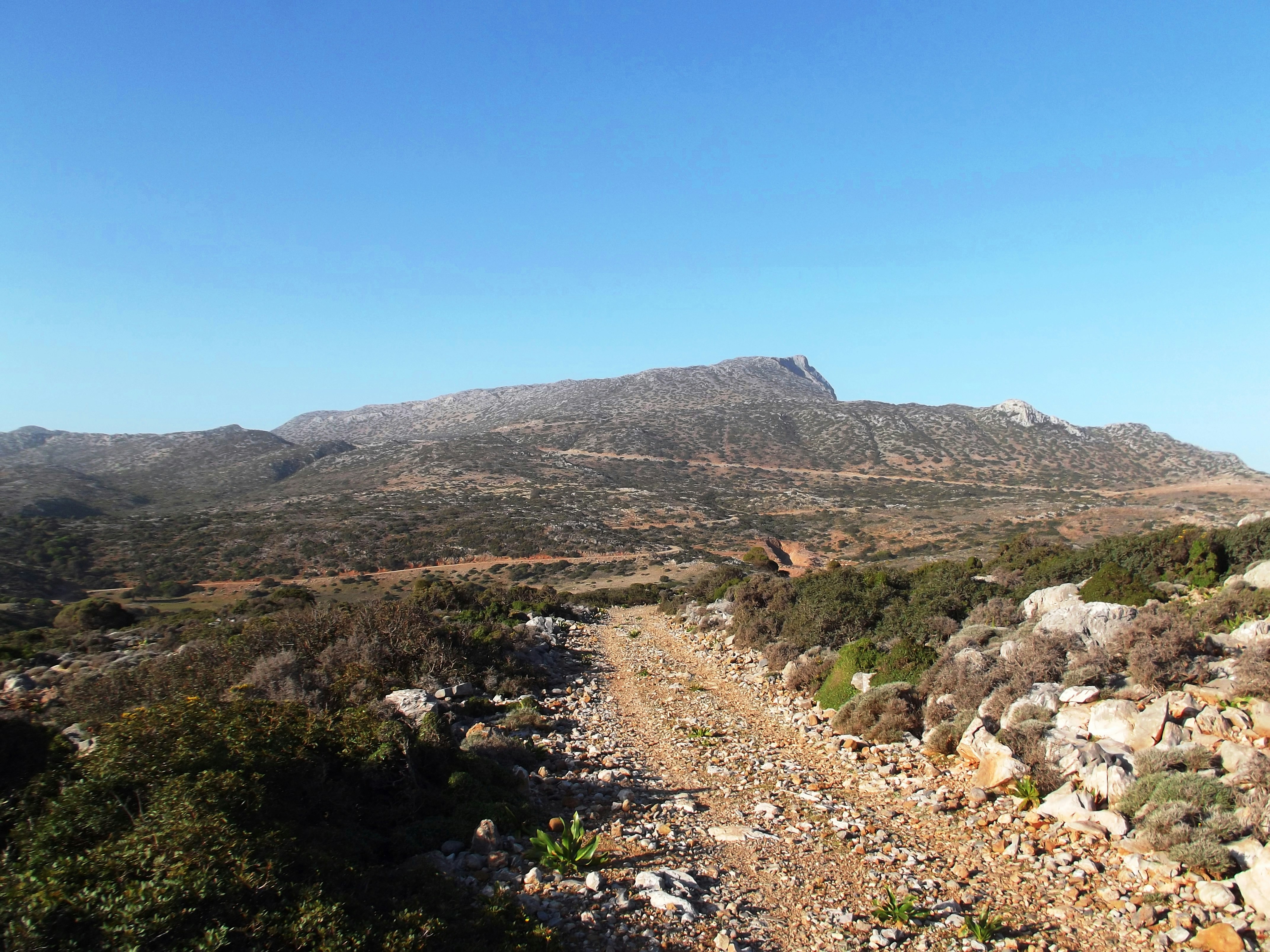 a rocky area with a mountain in the background