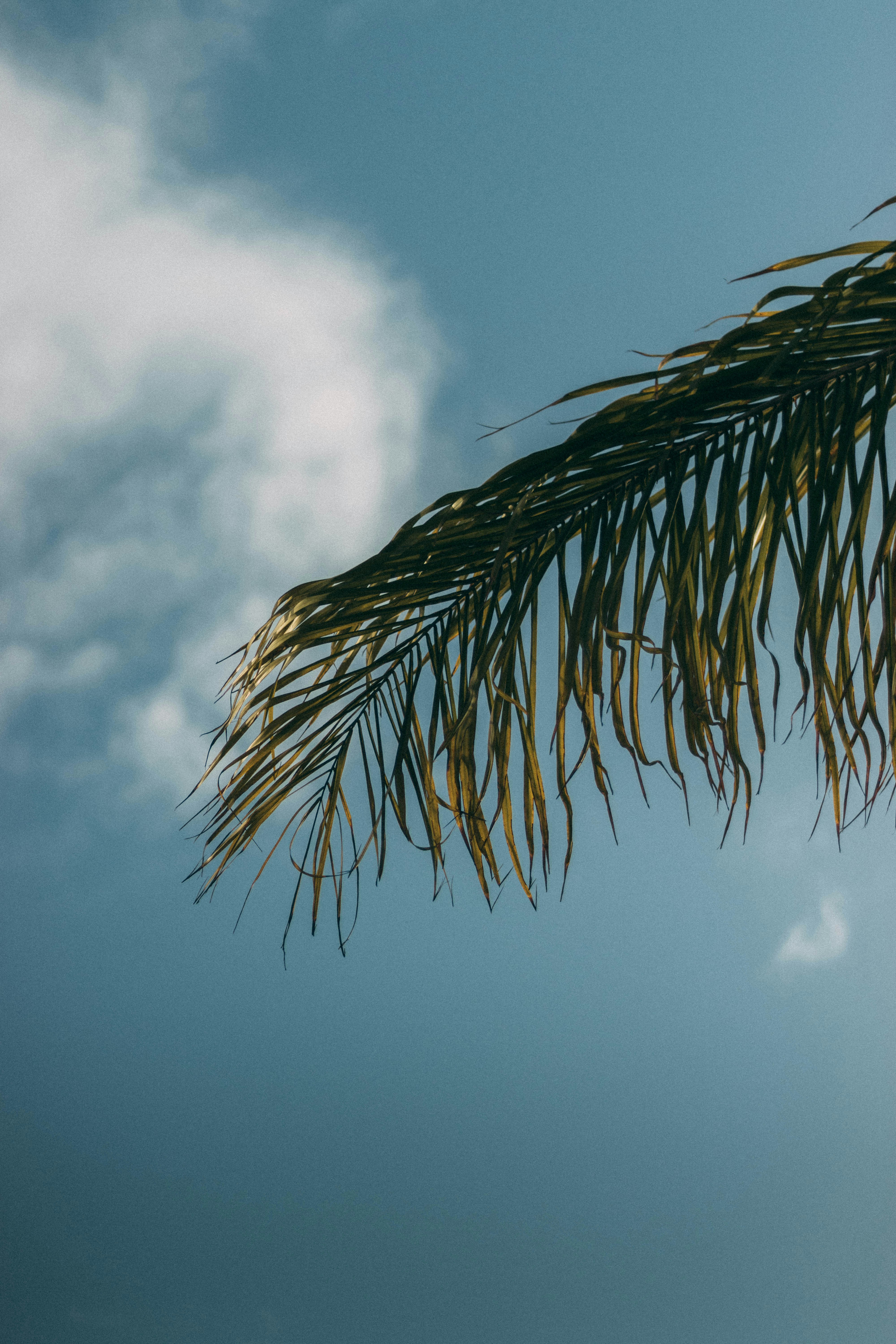 Photo by salaheregouane