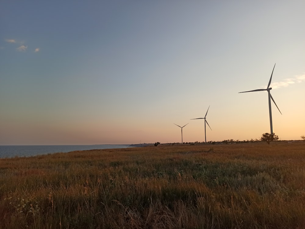 a field with wind turbines in it