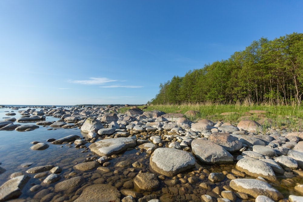 a river with rocks and grass