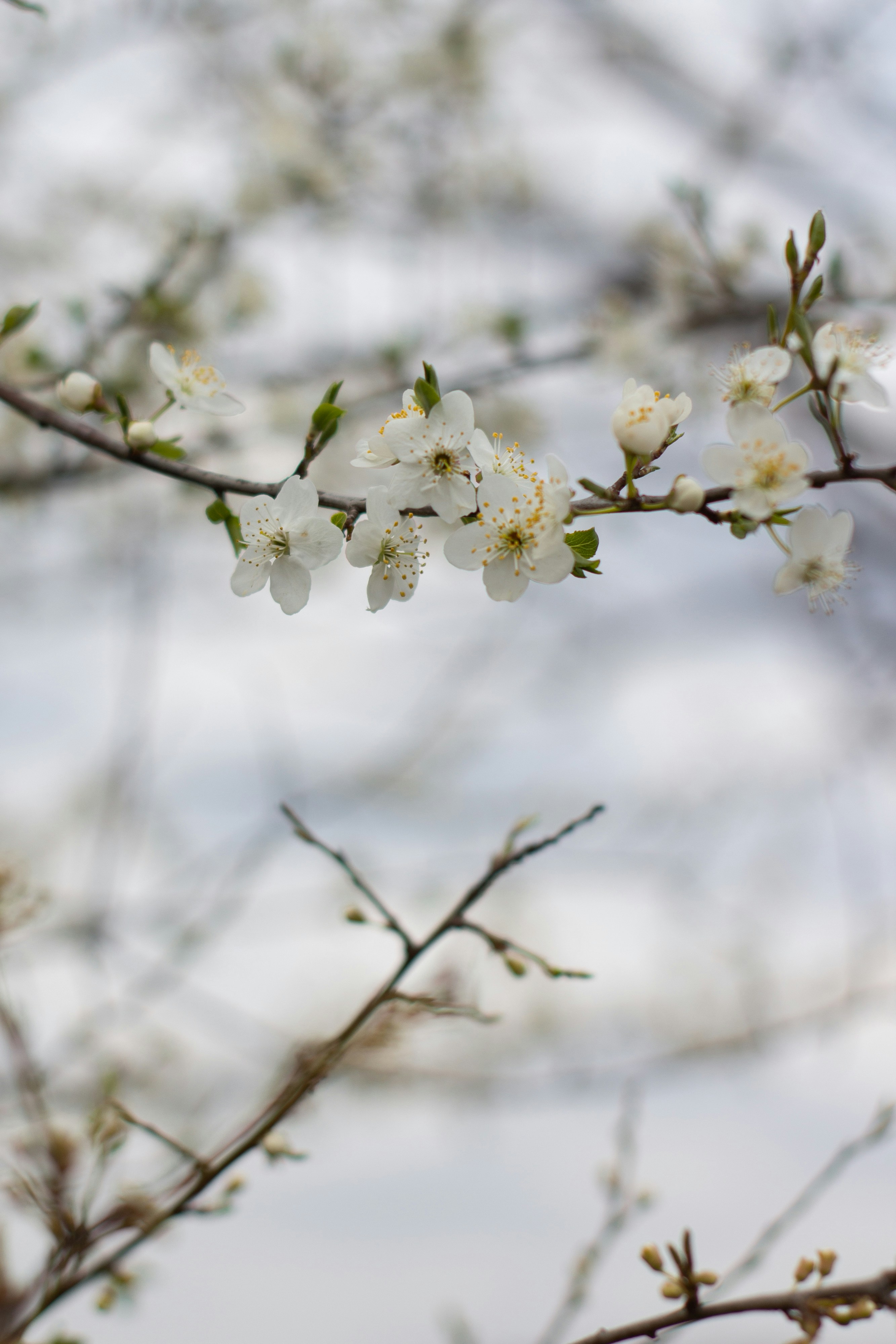 Photo by svitlana_rusak