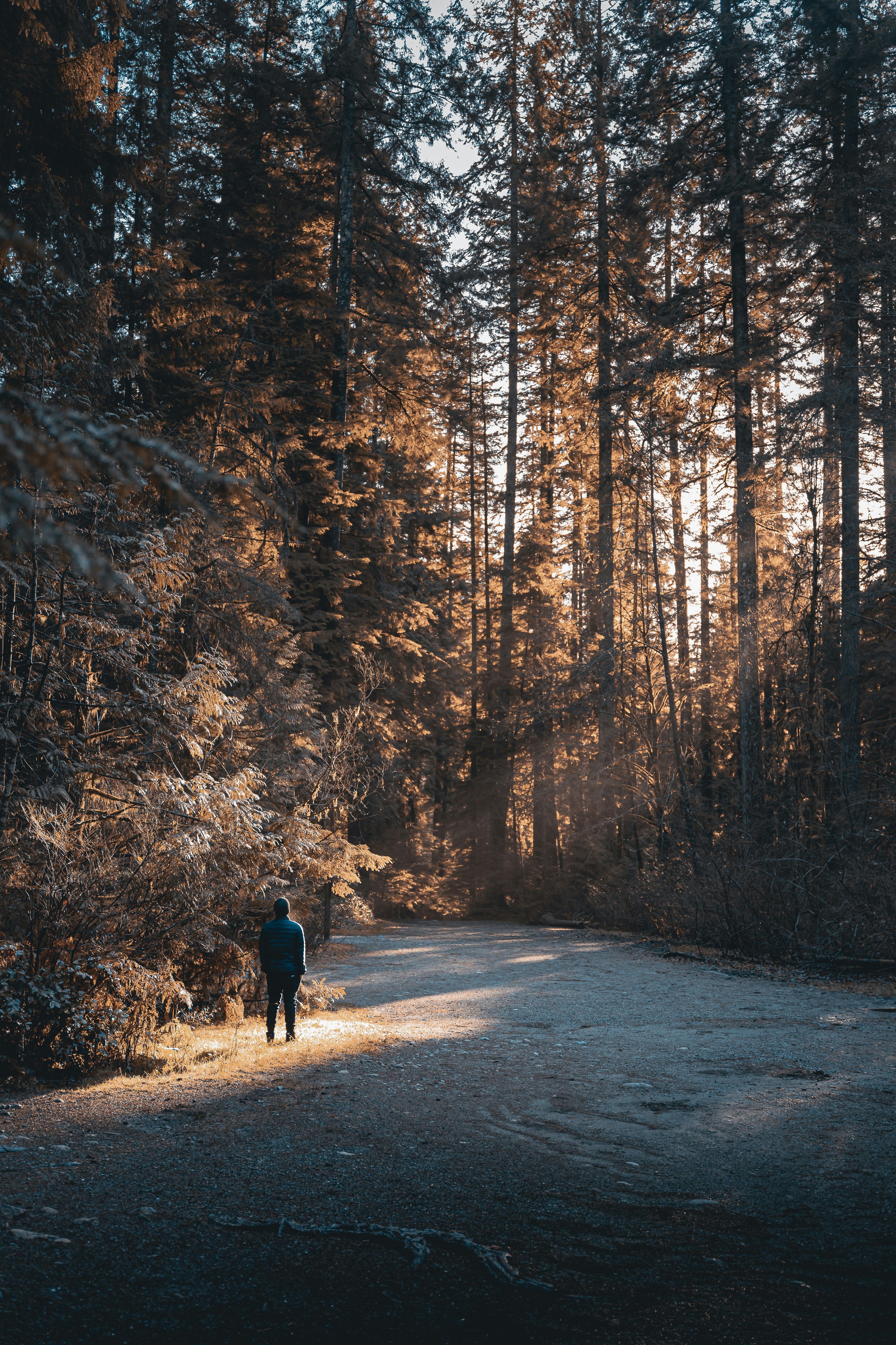 Photo by willianjusten