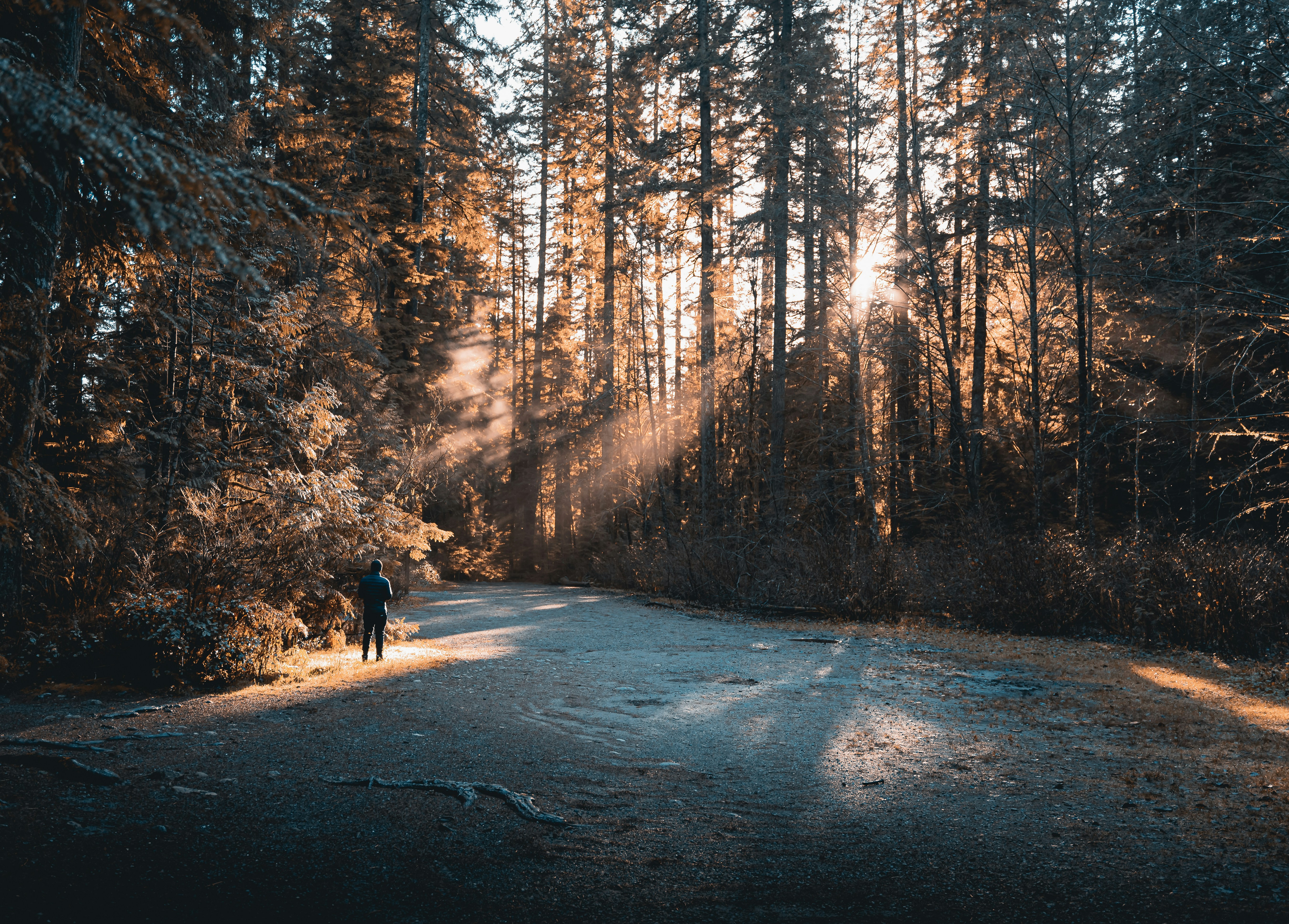 Photo by willianjusten