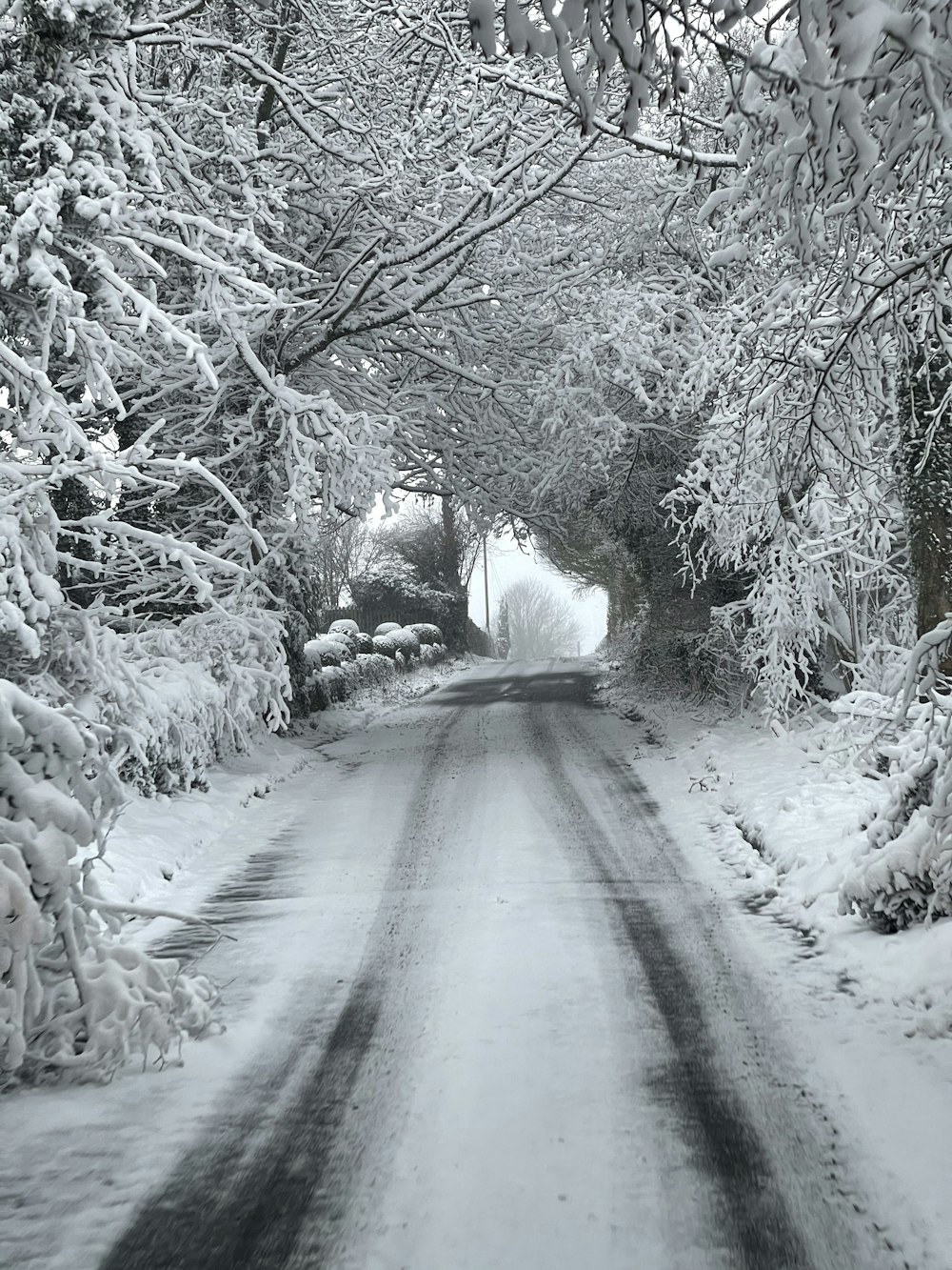 a road with snow on the side