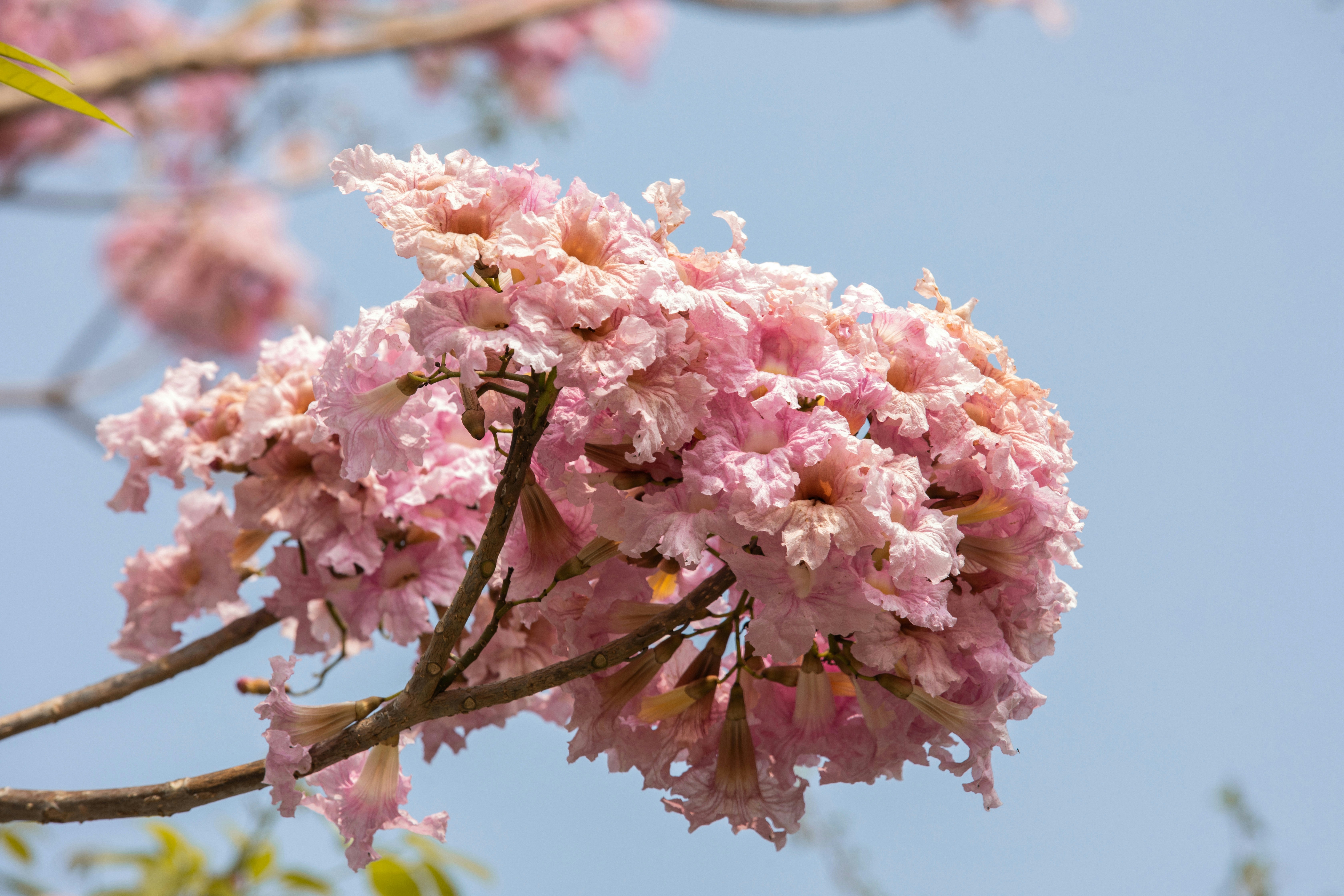 Photo by color0911