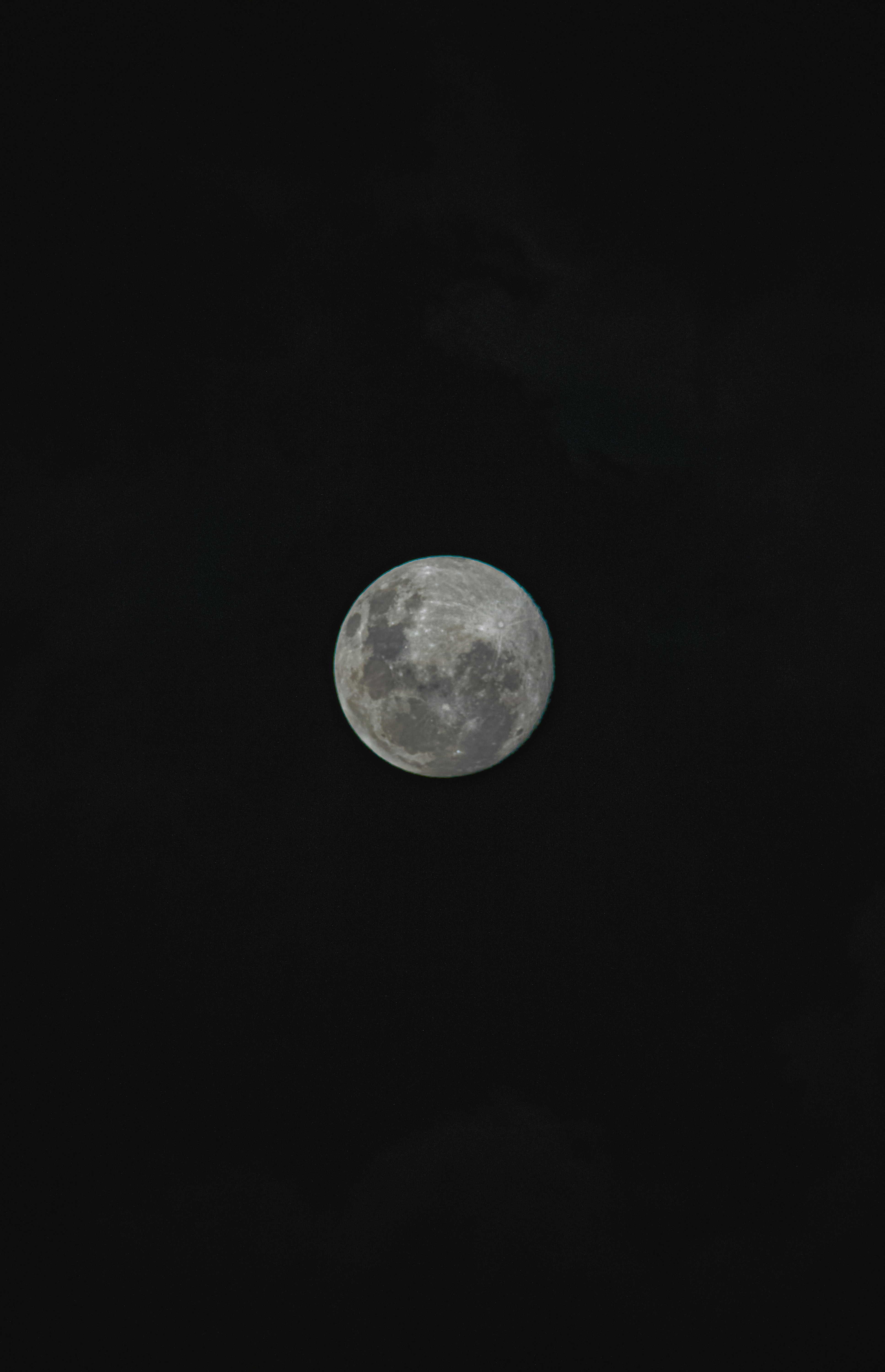 Photo by gabrieluizramos