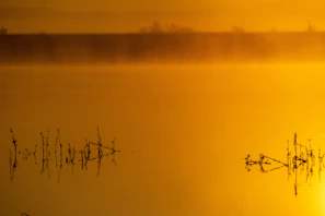 A peaceful meditation scene with soft golden and green hues blending harmoniously.