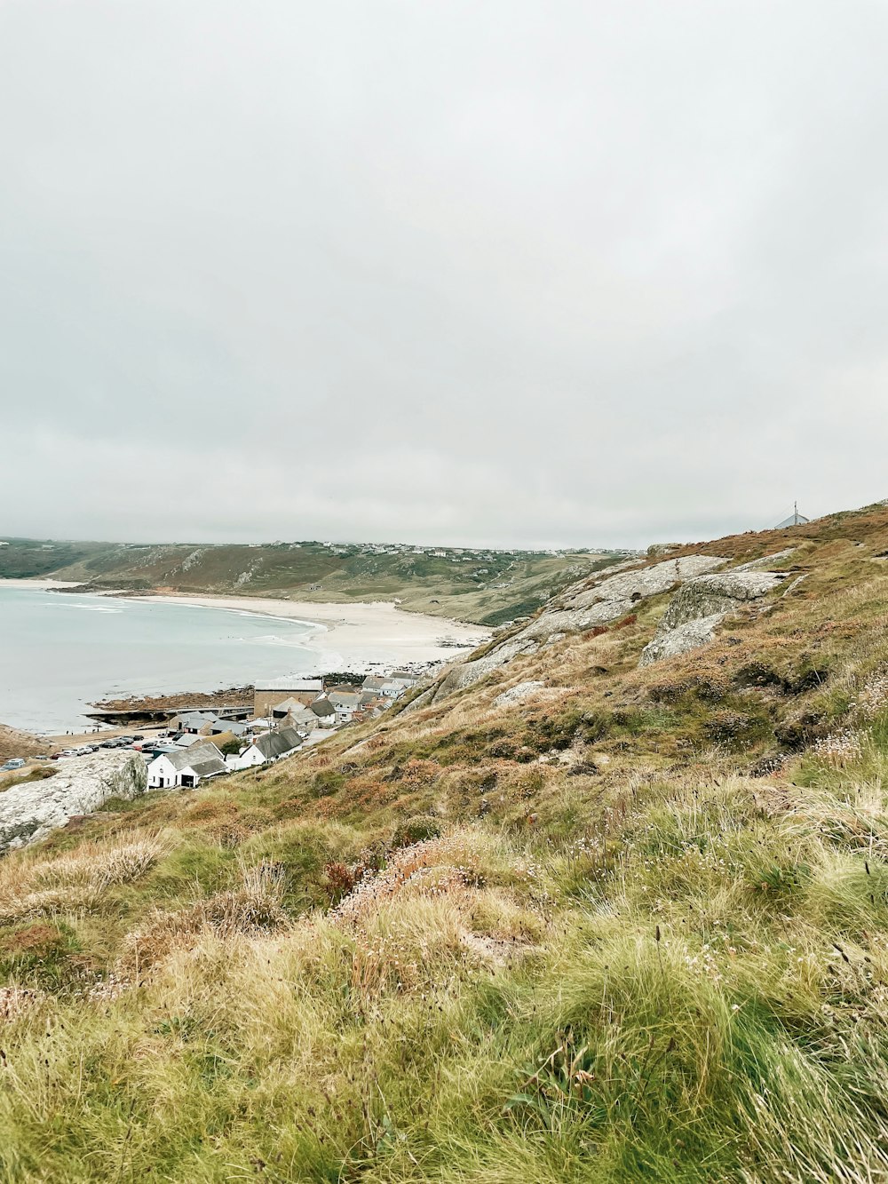 a beach with grass and rocks