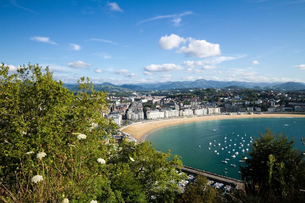 Ein Gewässer mit einer Stadt im Hintergrund