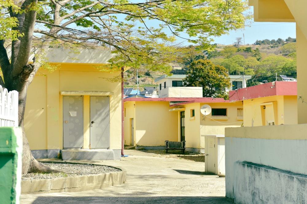 a building with a tree in the front