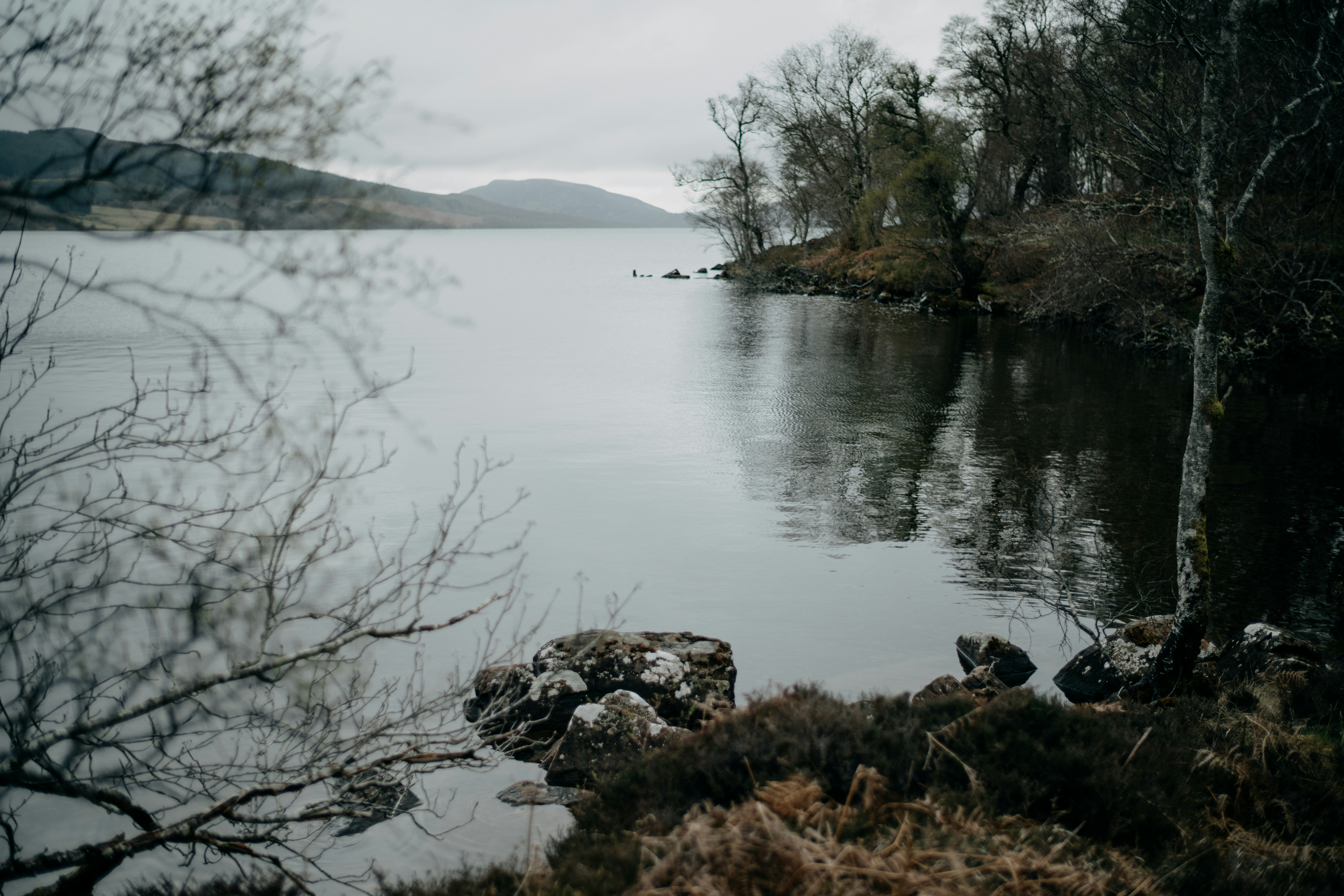 Photo by anniespratt