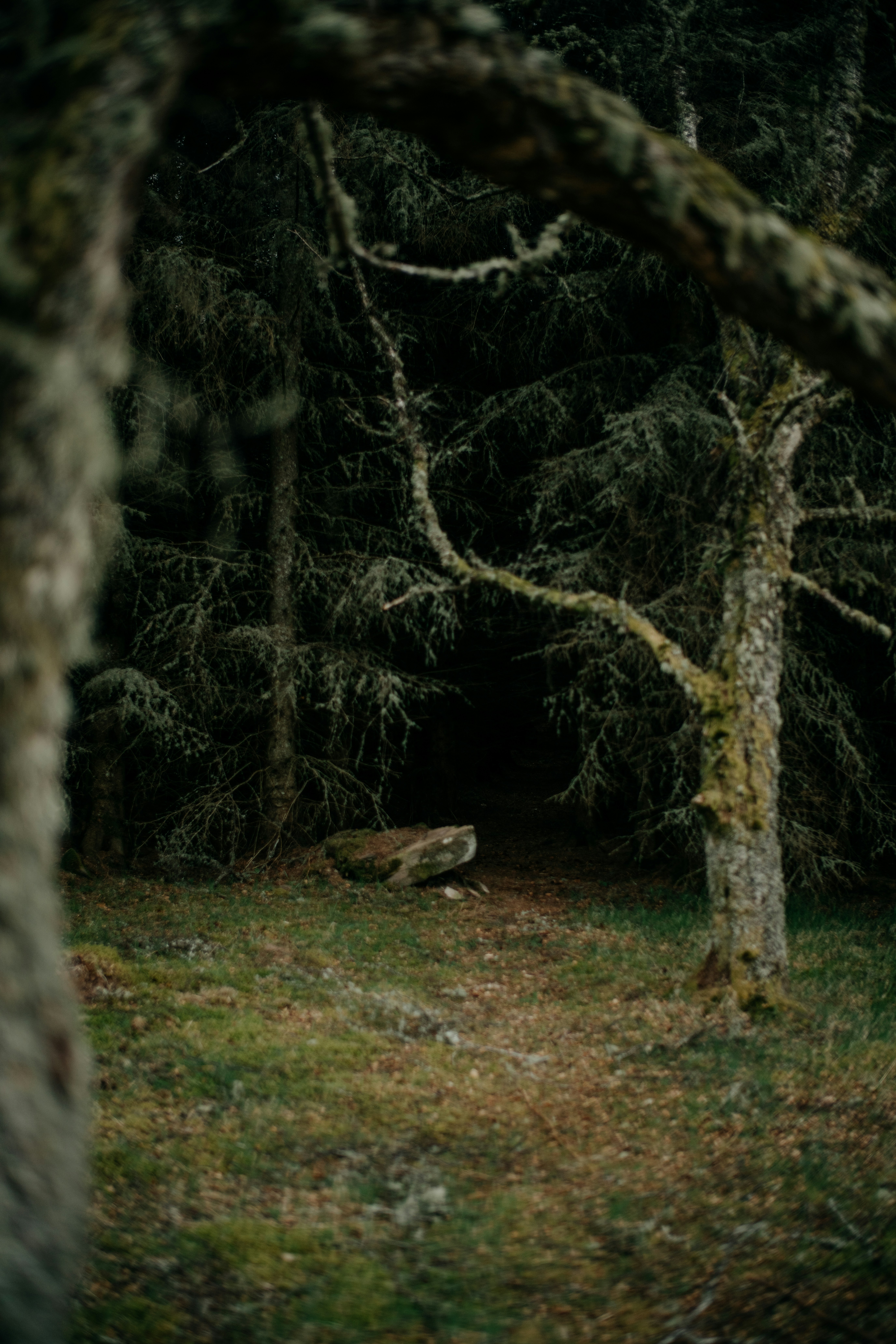 Photo by anniespratt