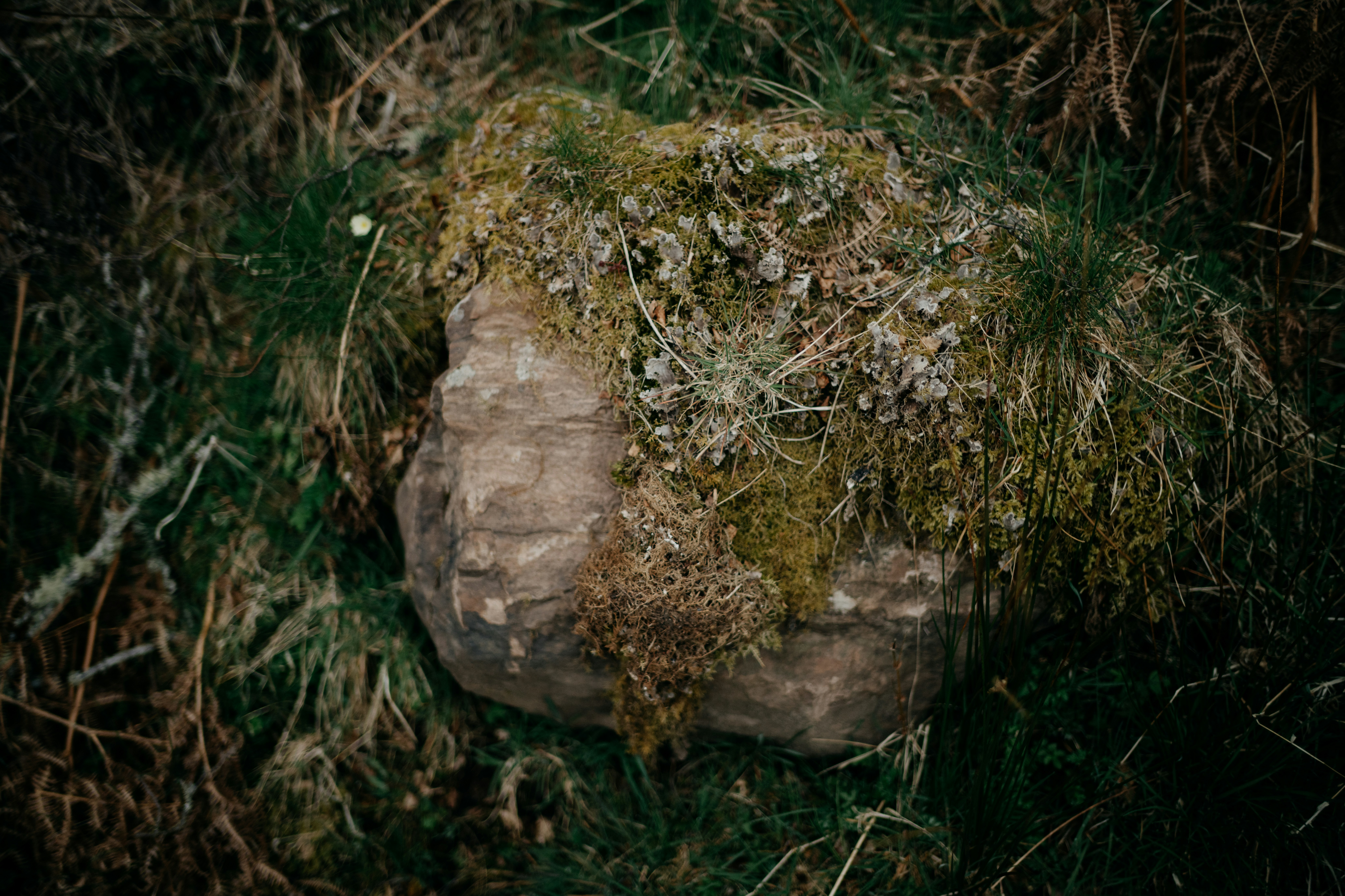 Photo by anniespratt