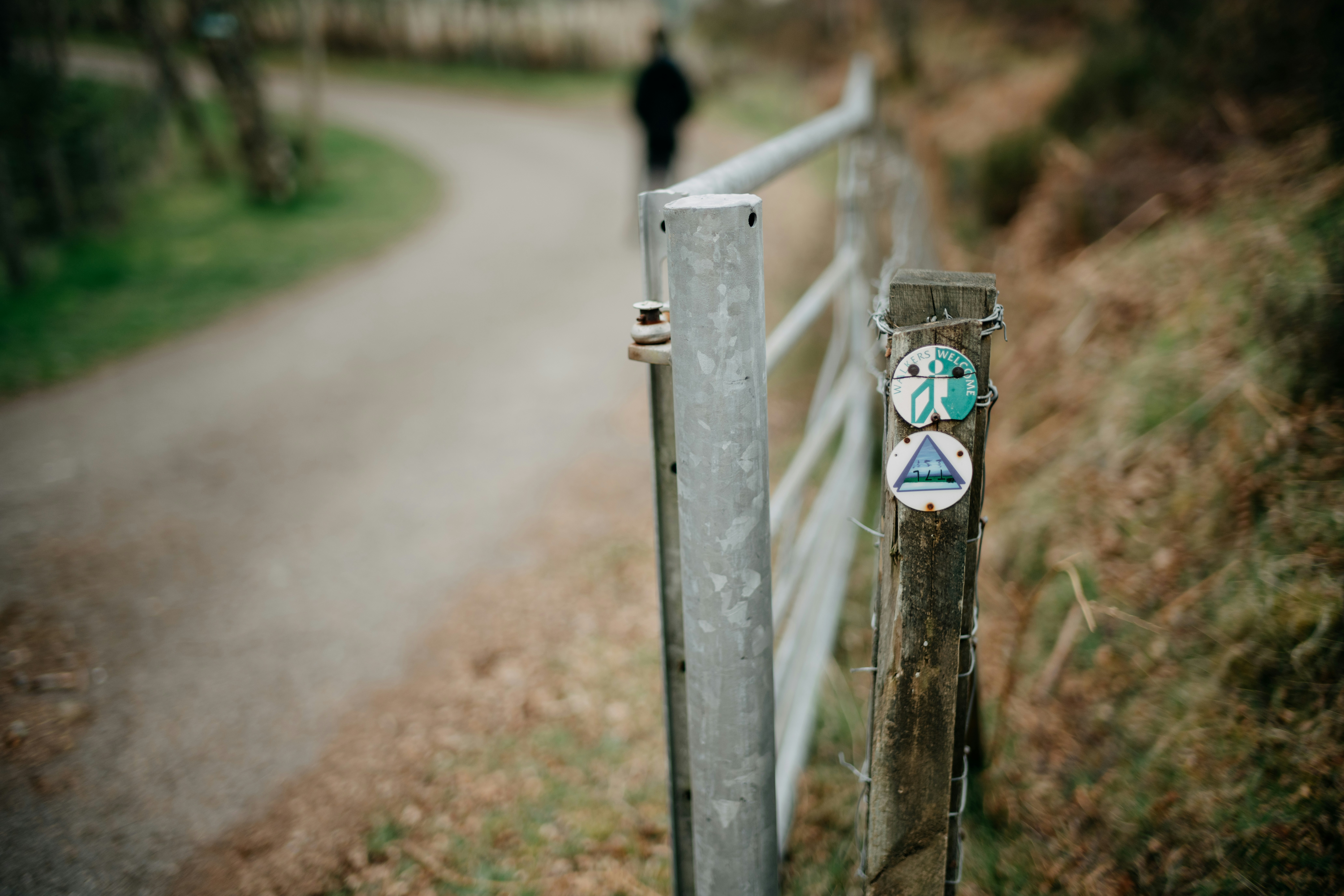 Photo by anniespratt