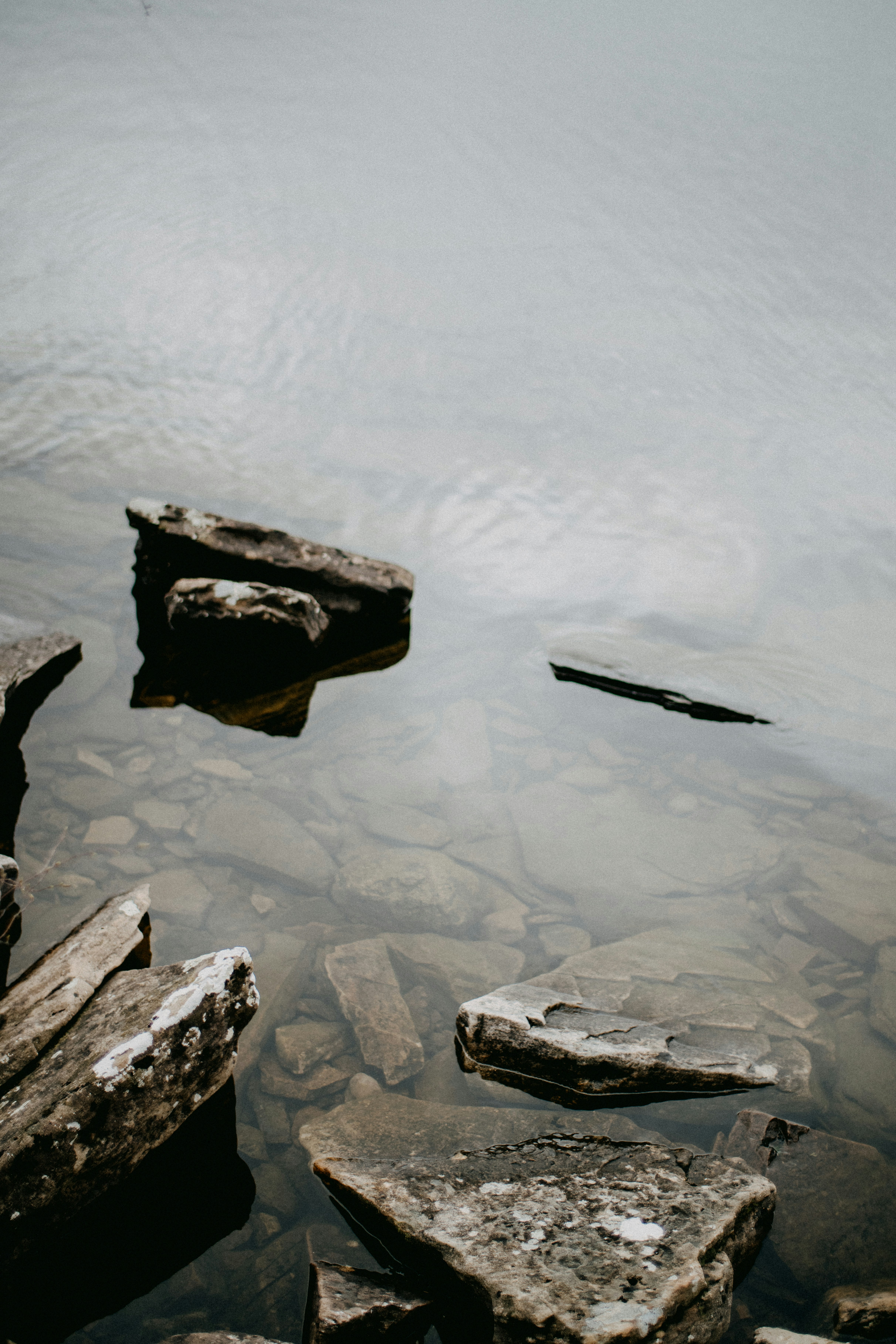 Photo by anniespratt