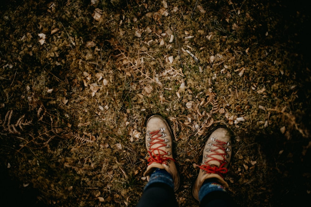 a person's feet in red shoes on a field of leaves