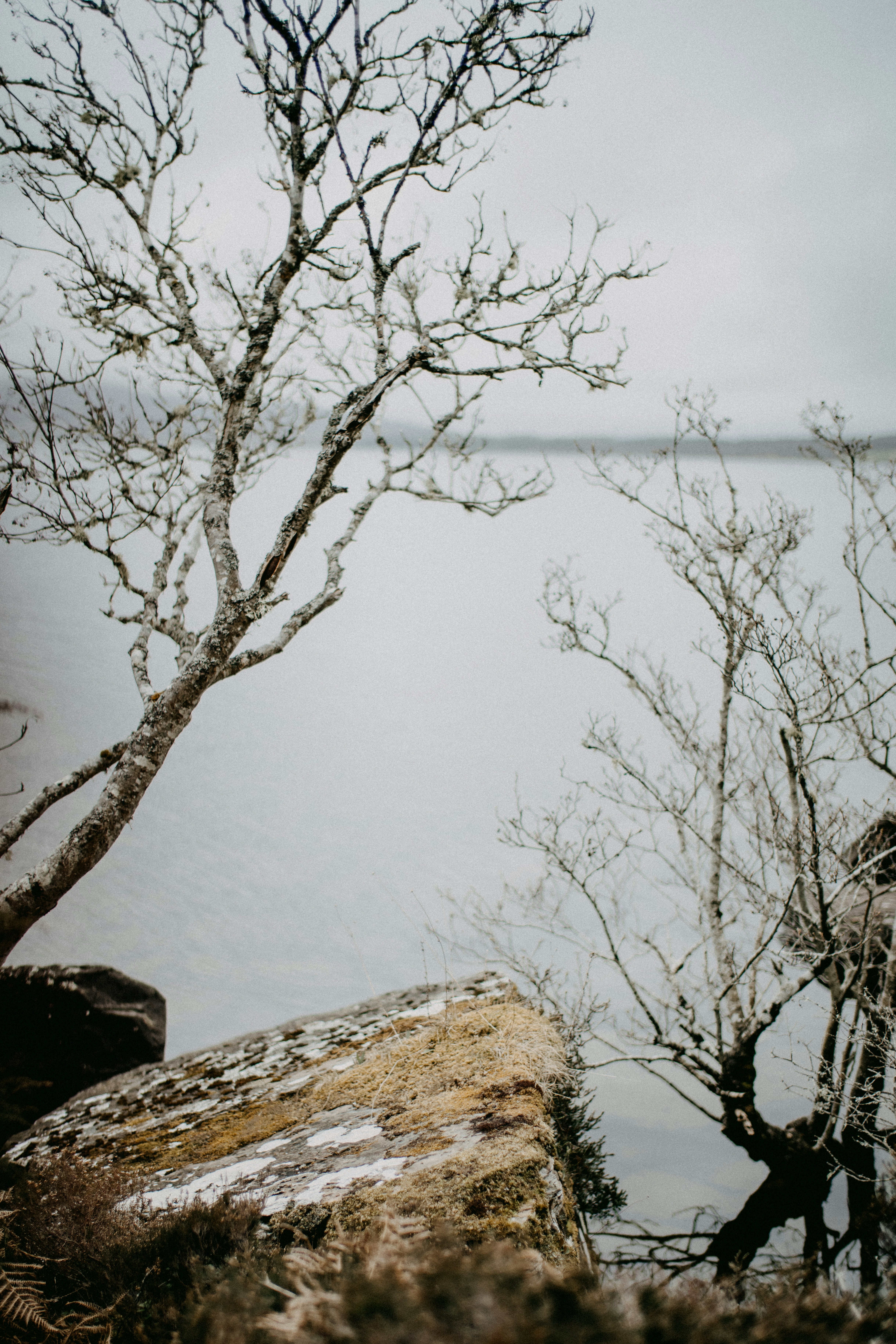 Photo by anniespratt