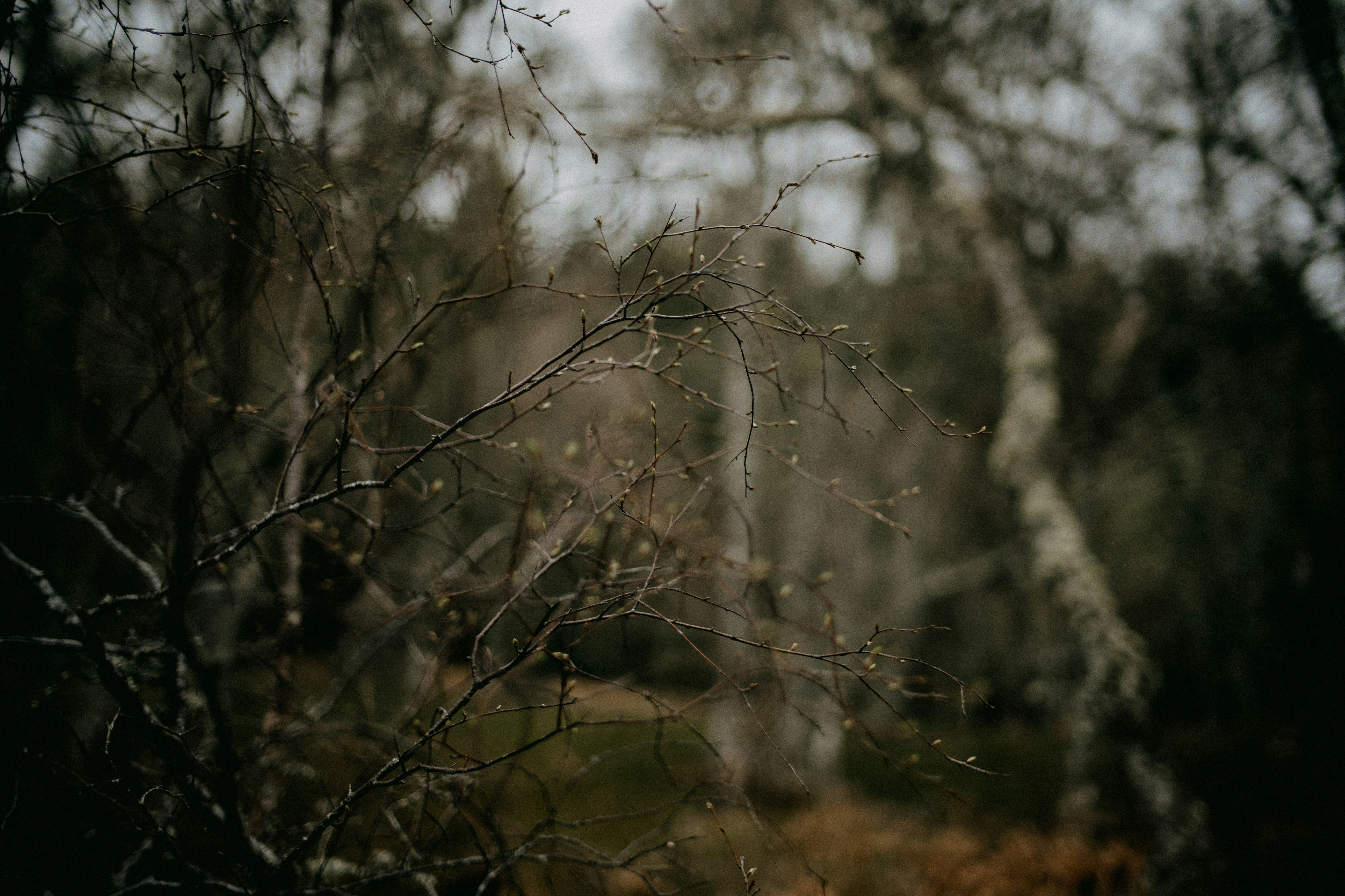 Photo by anniespratt