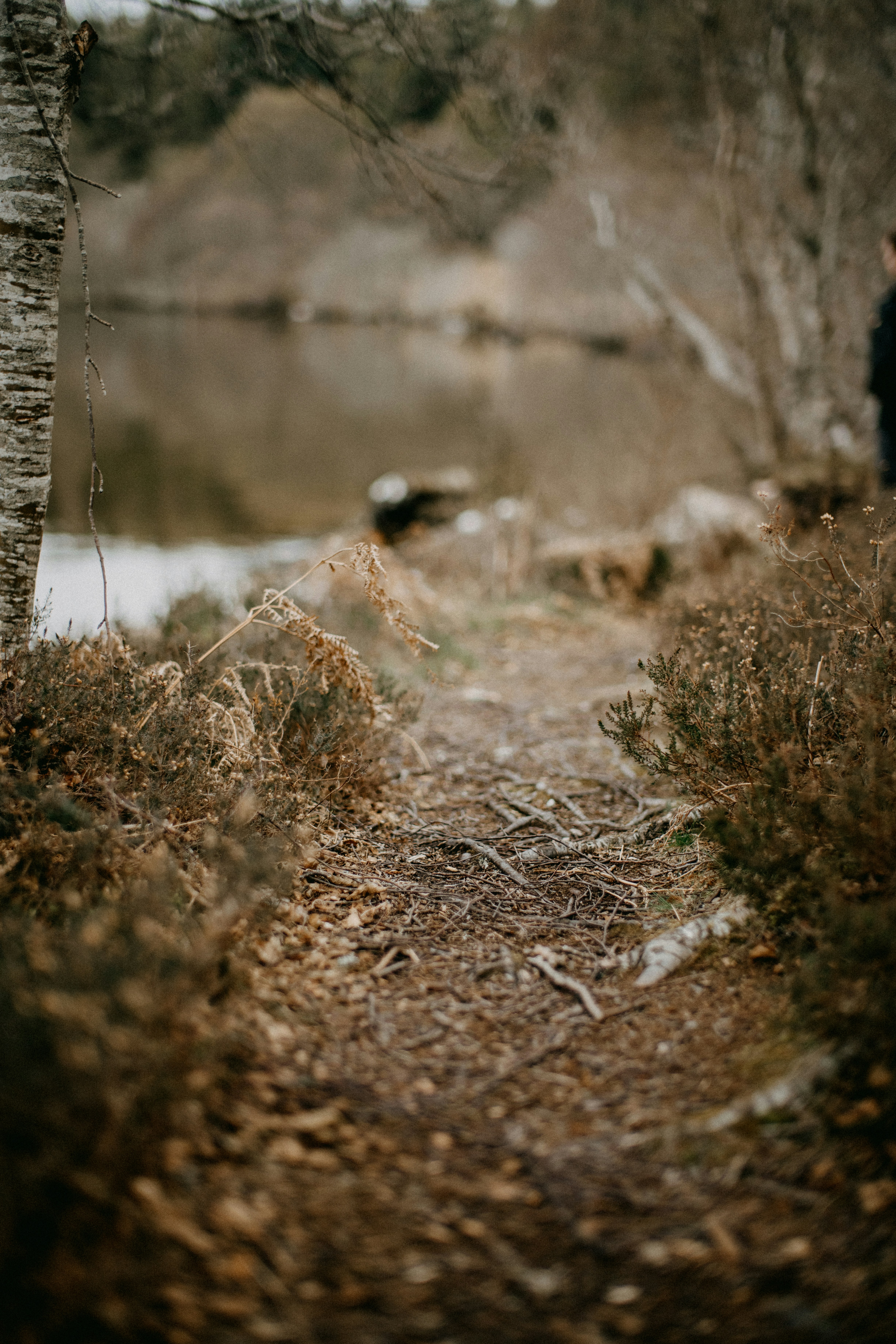 Photo by anniespratt