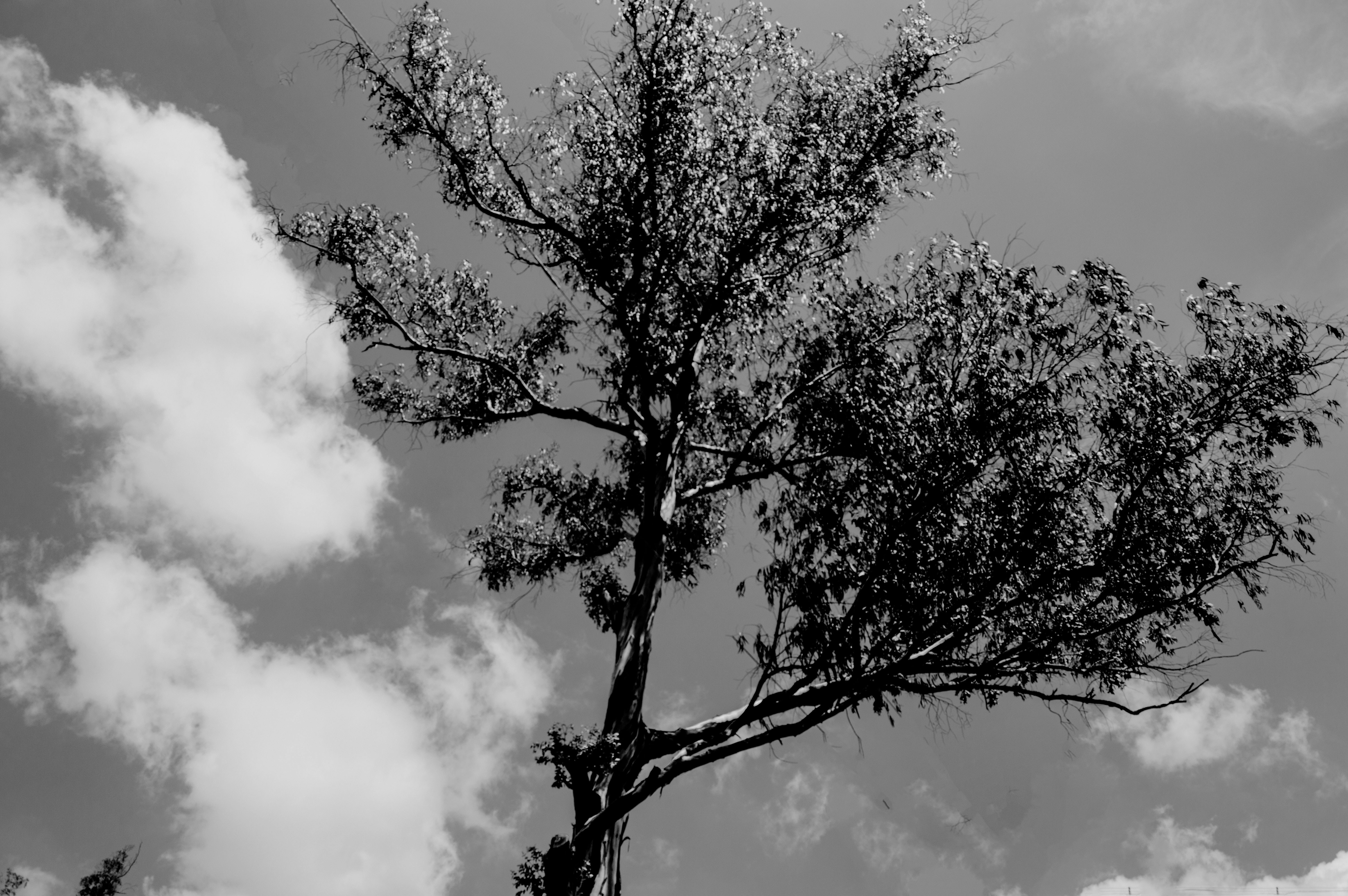 Photo by dip_photography