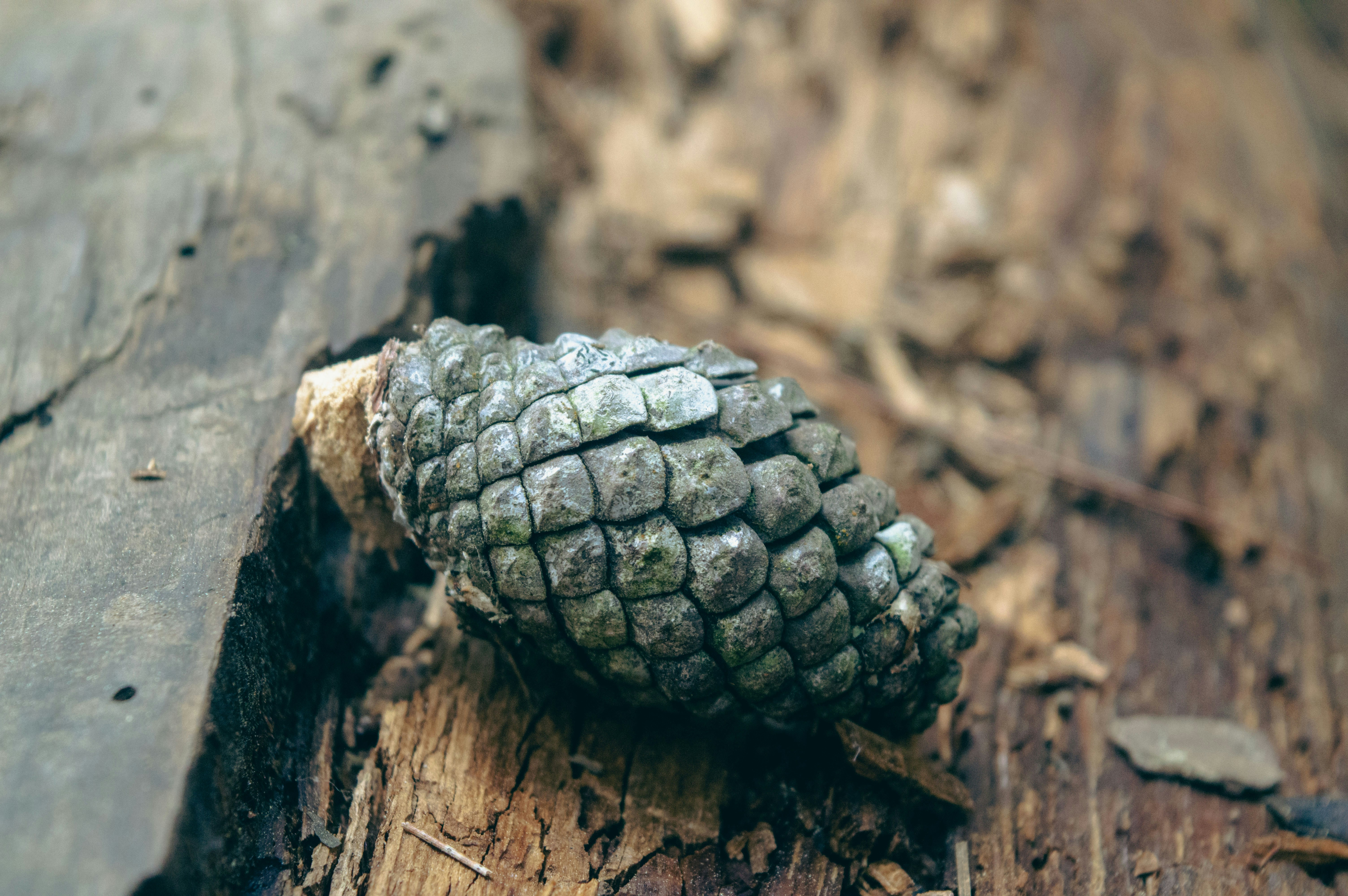 Photo by dip_photography