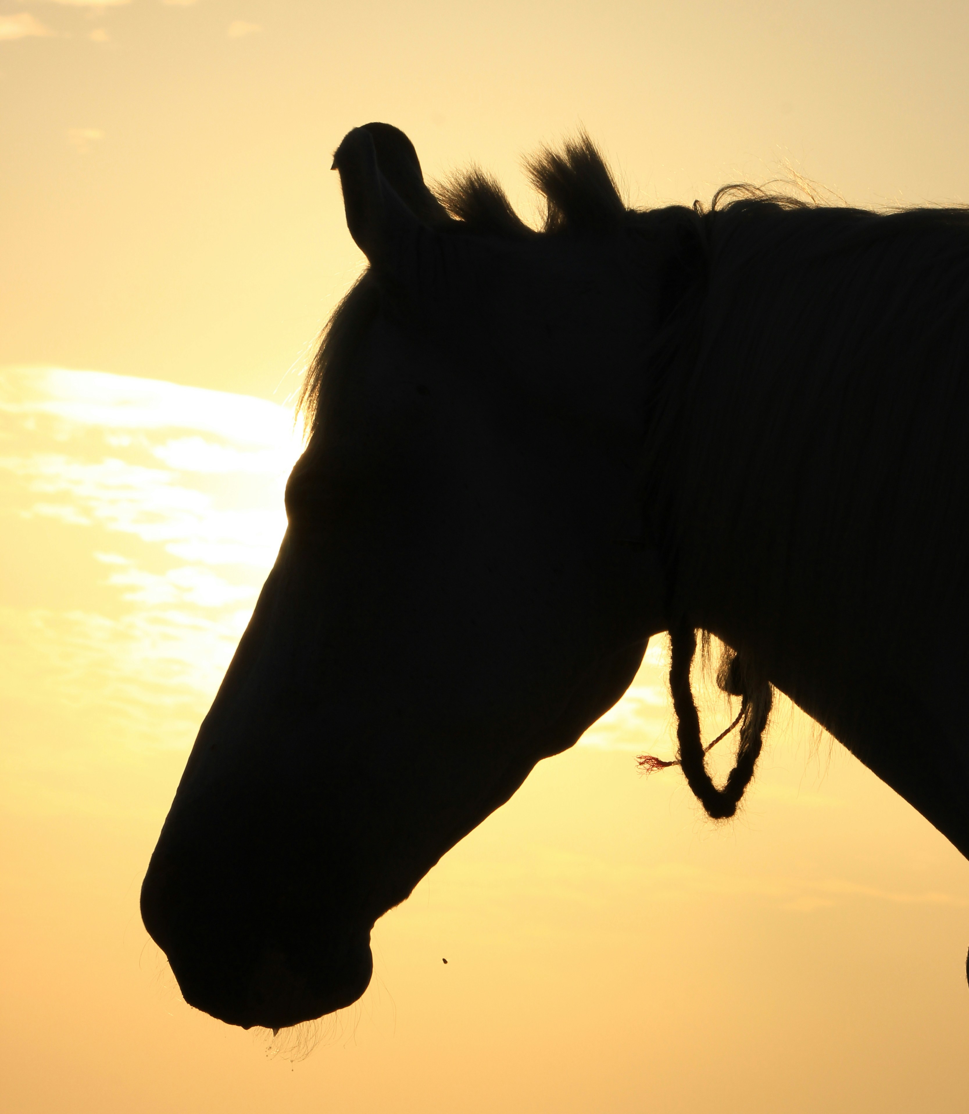 Photo by faw_tographer