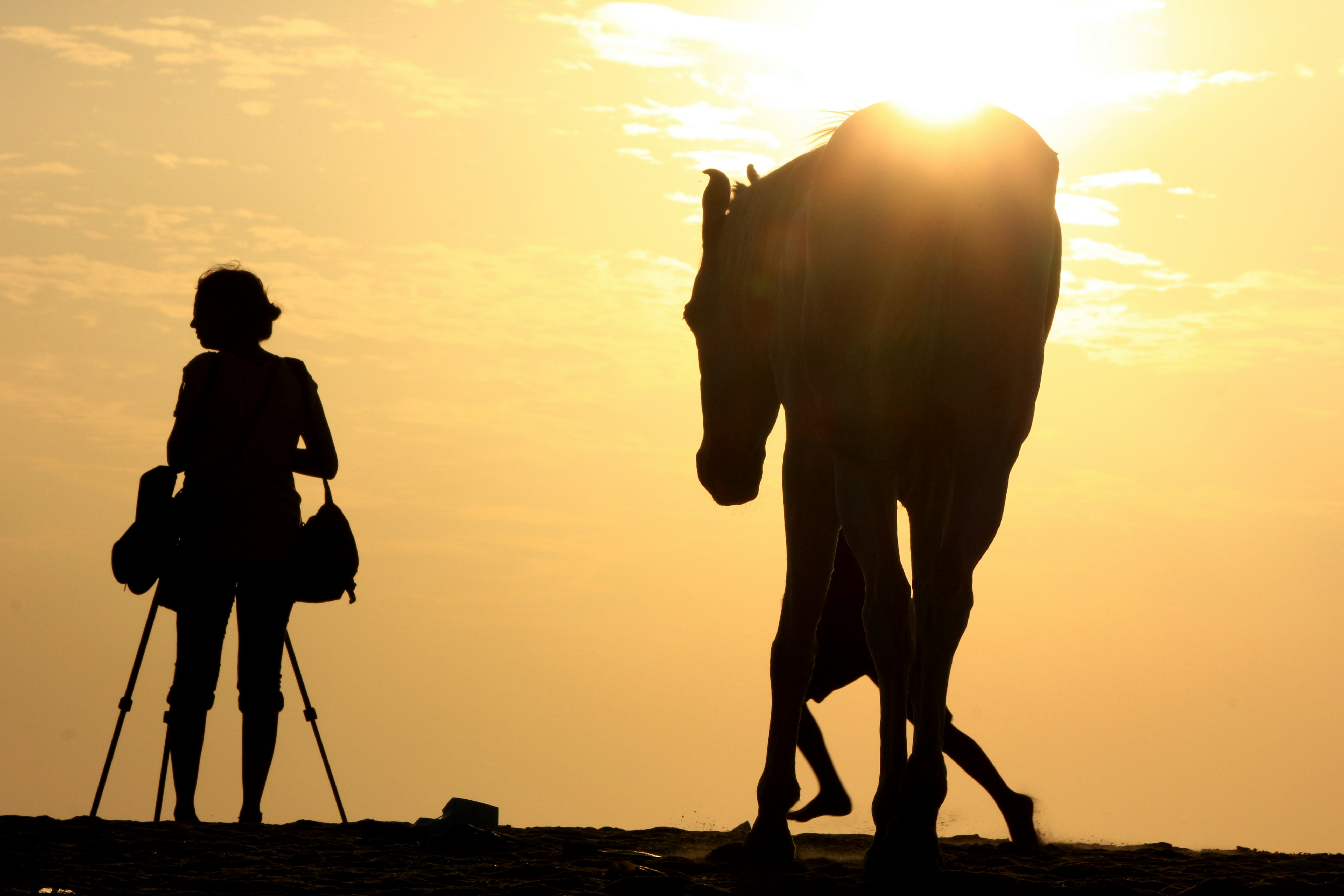 a man and woman walking with a camel