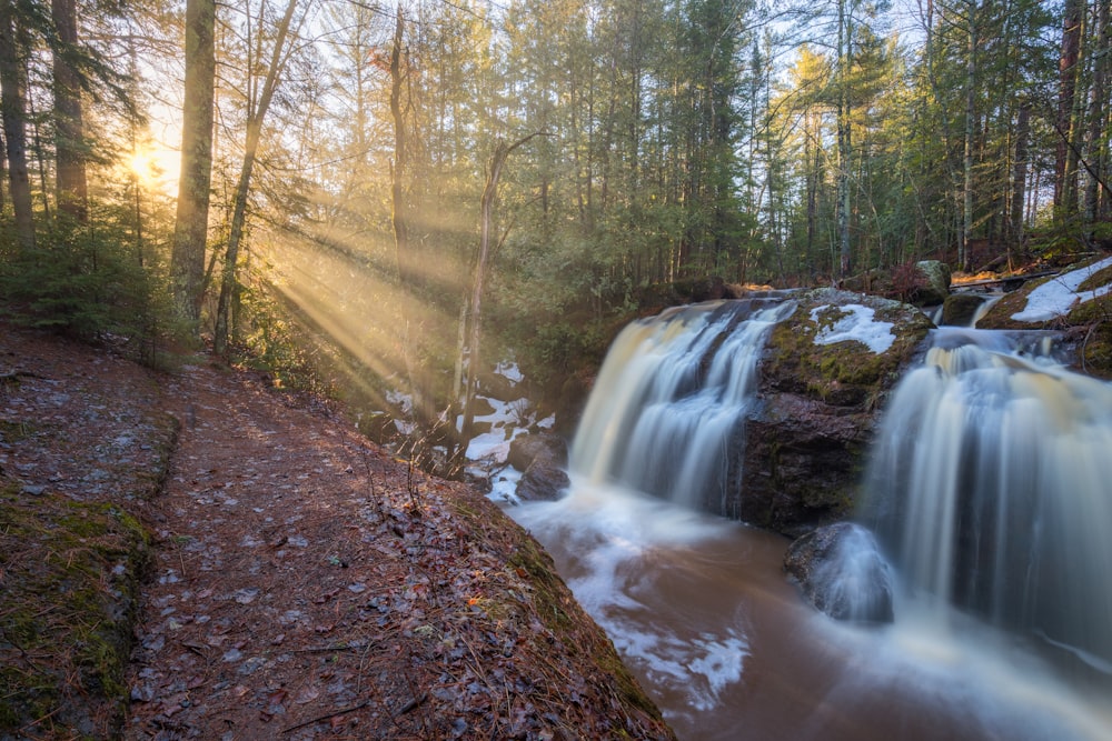 a stream in a forest