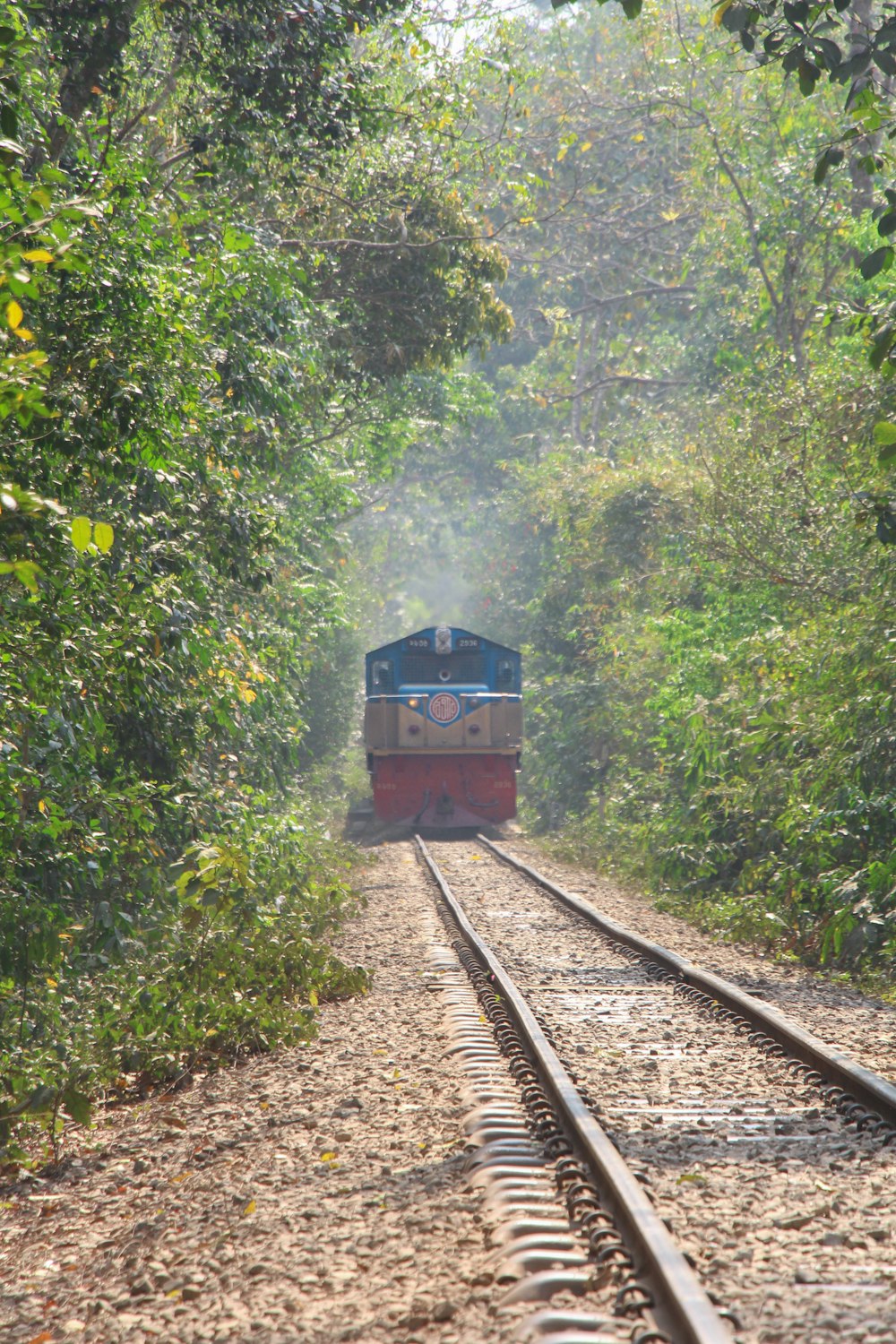 a train going down the tracks