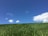 A well-maintained lawn with fresh green grass and a clear blue sky overhead.